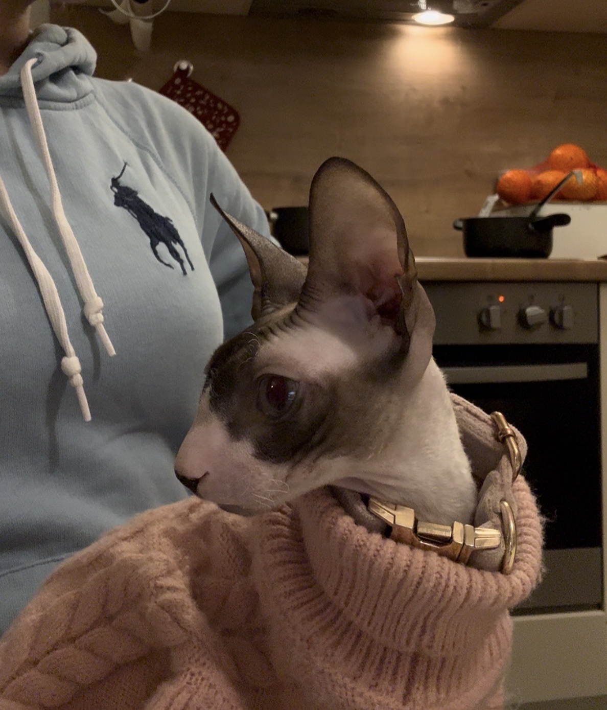 image-6