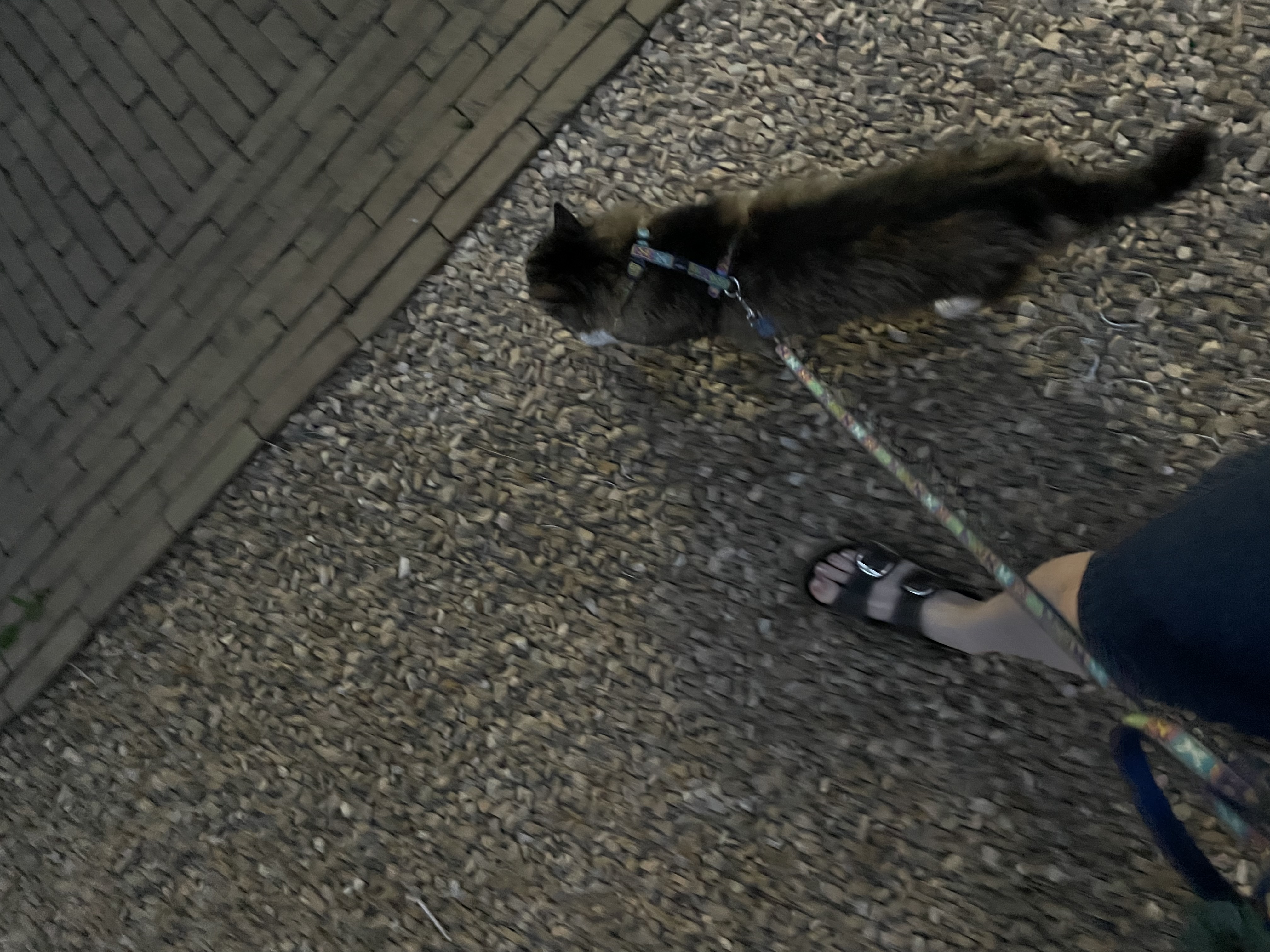 image-5