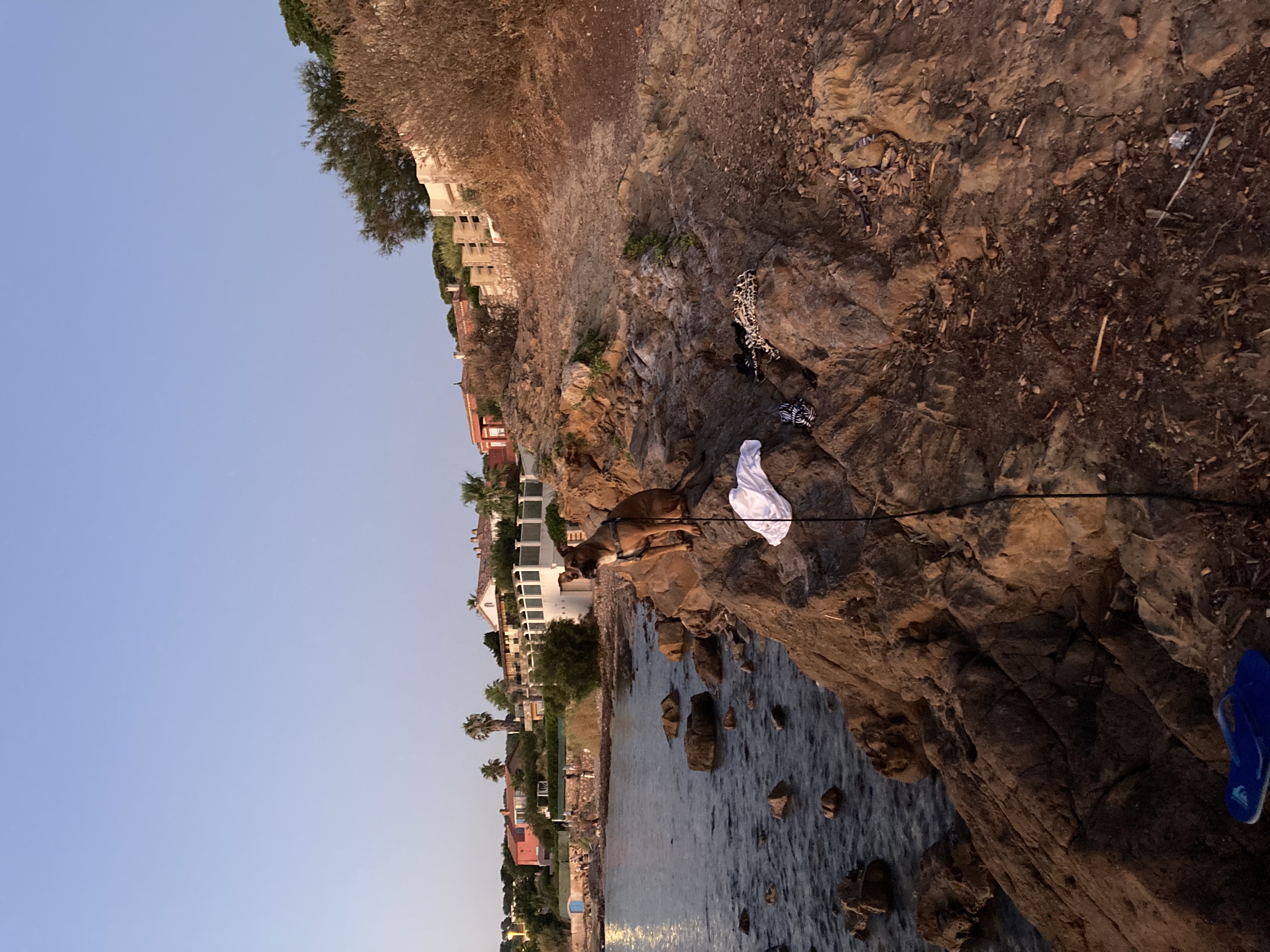 image-9