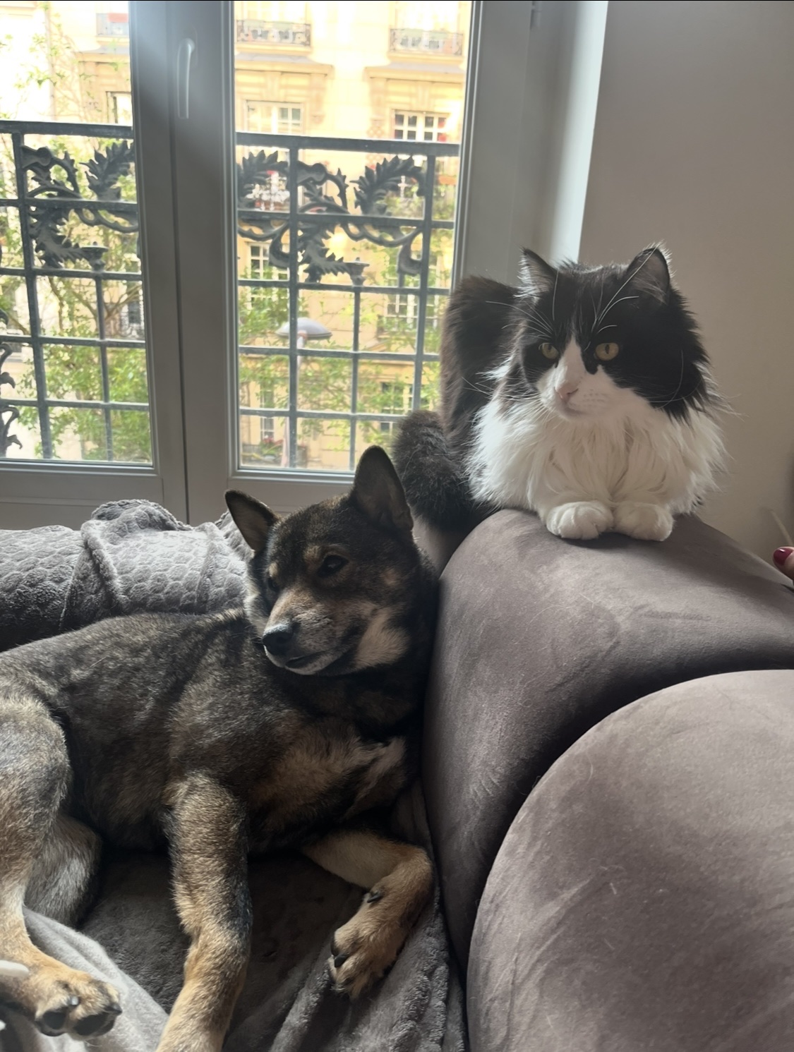 image-6