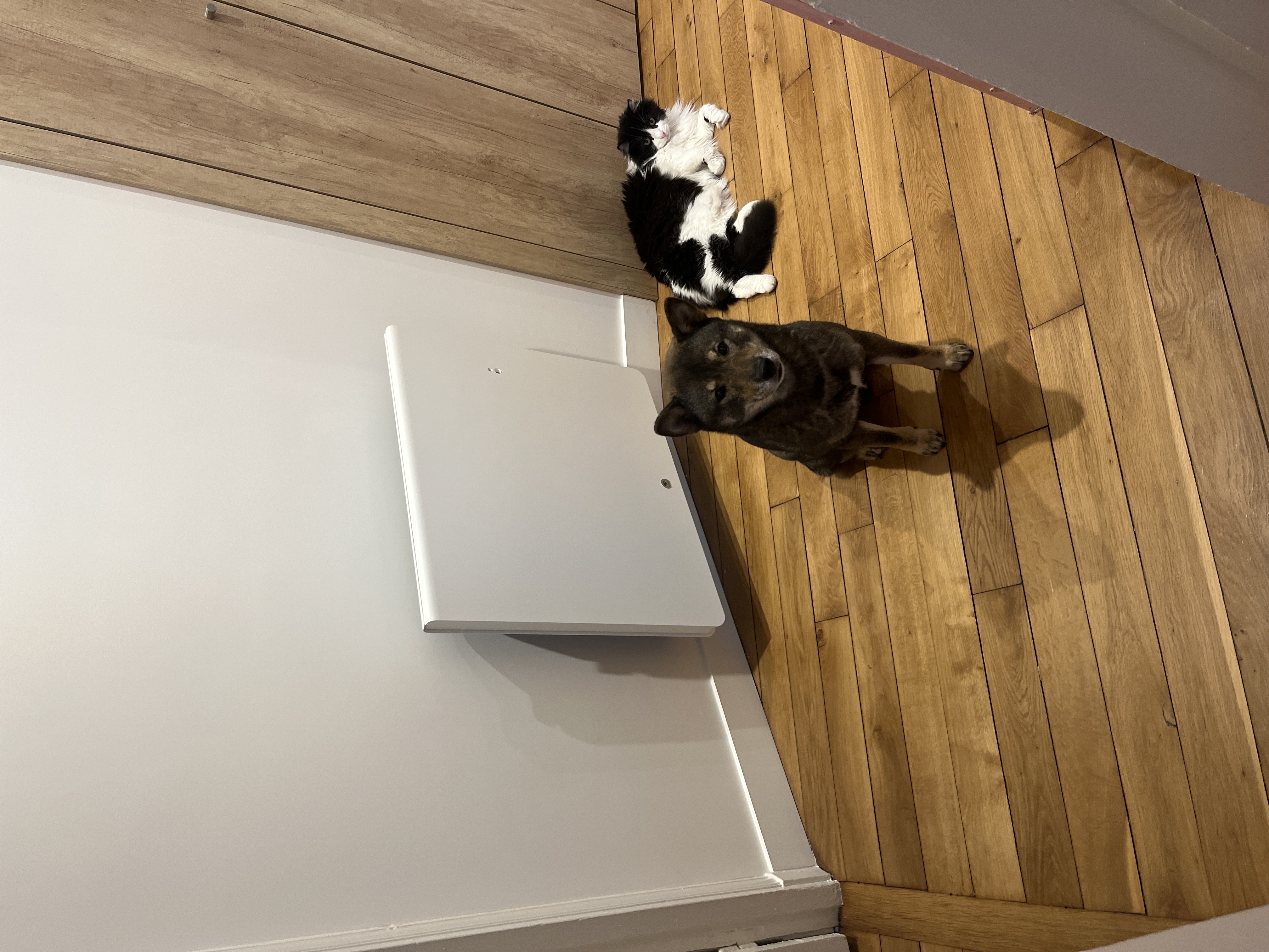 image-10