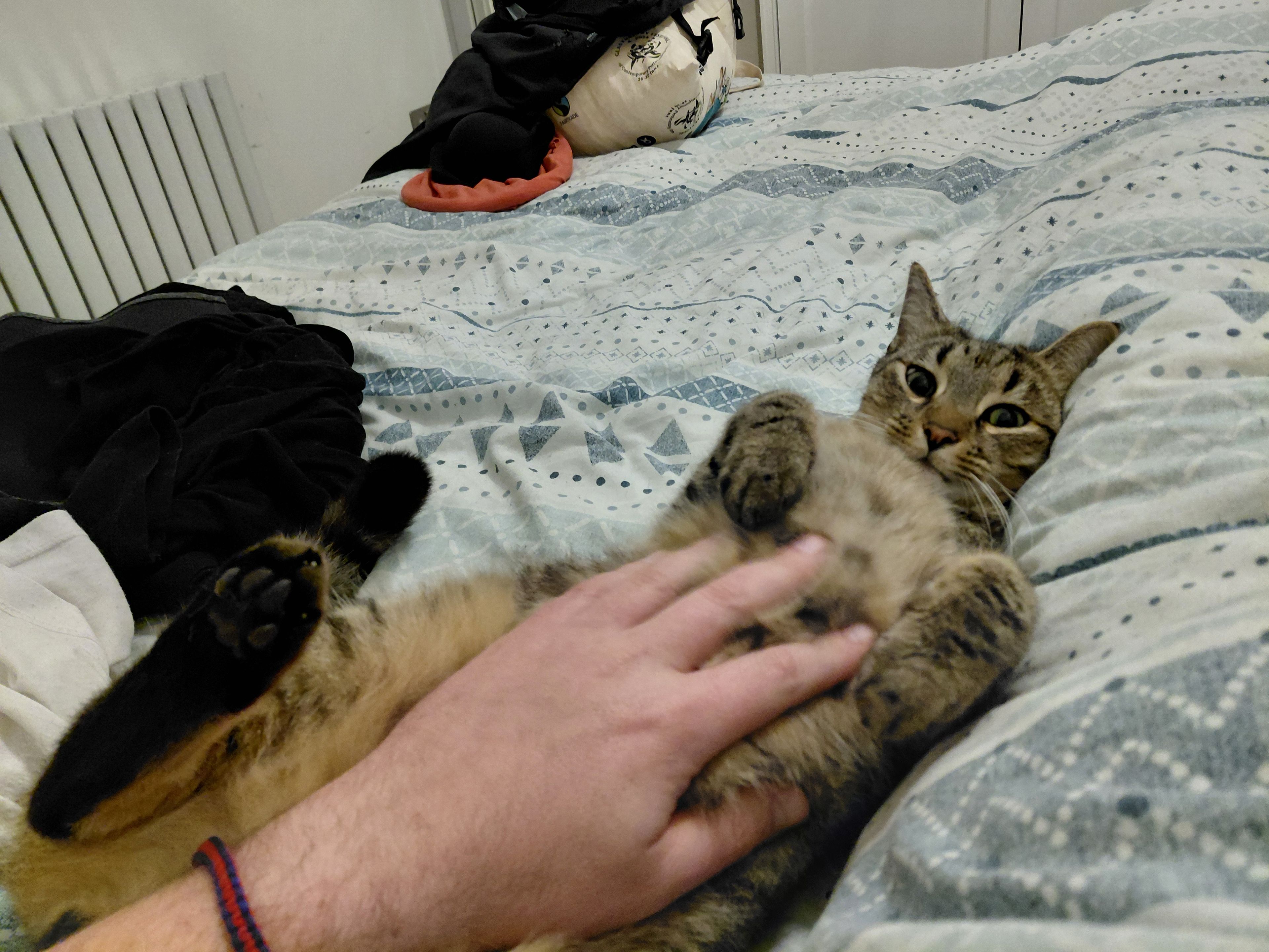 image-9