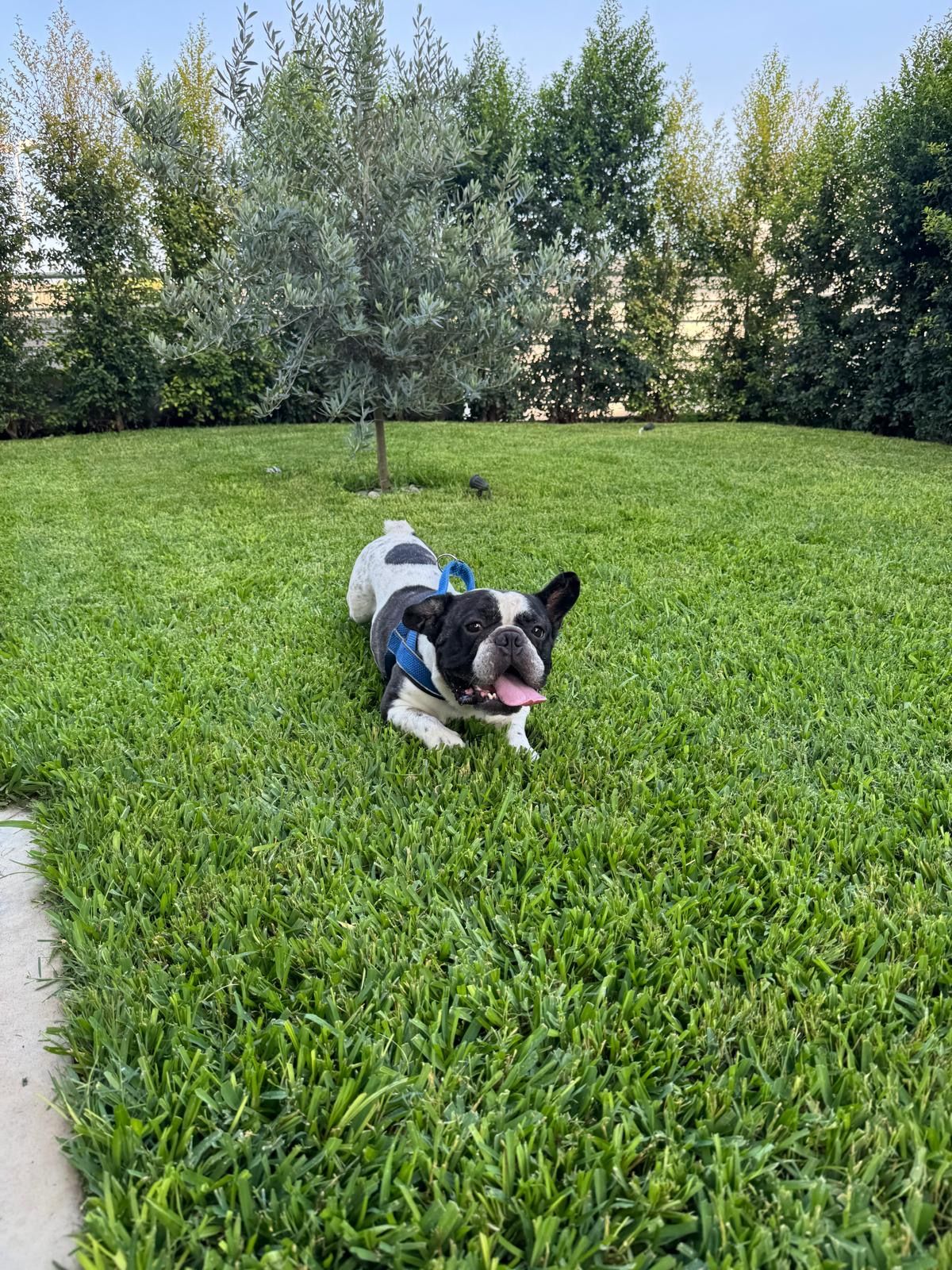 image-13