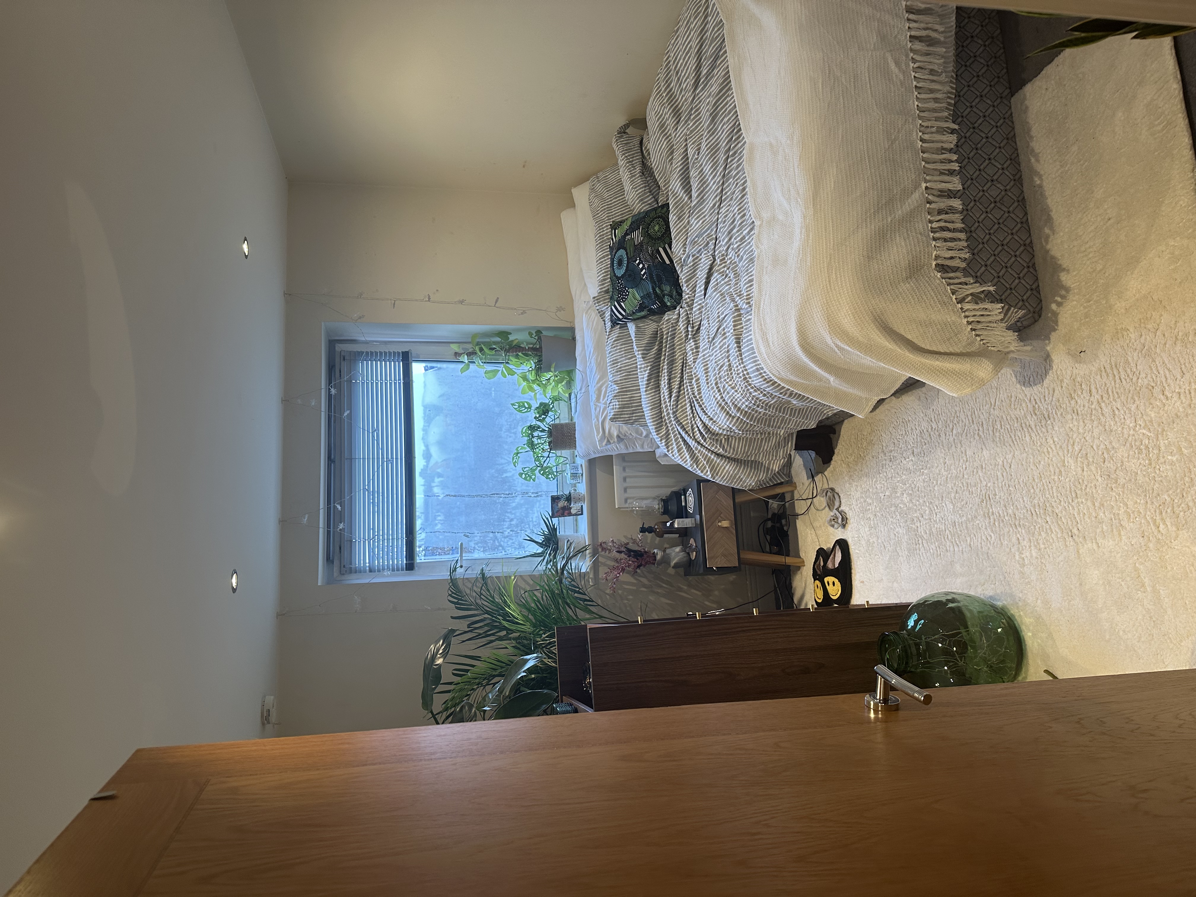 image-16