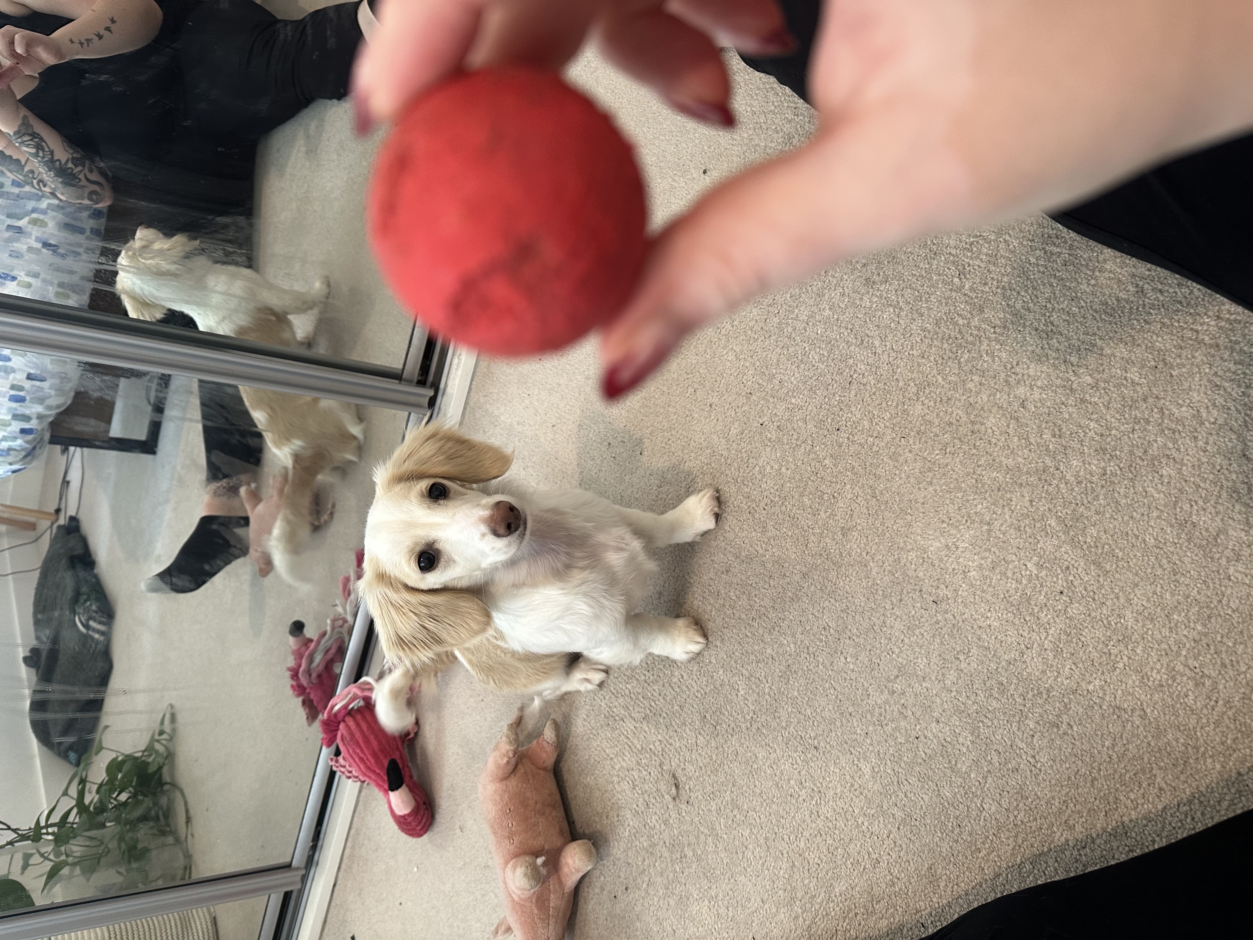 image-8