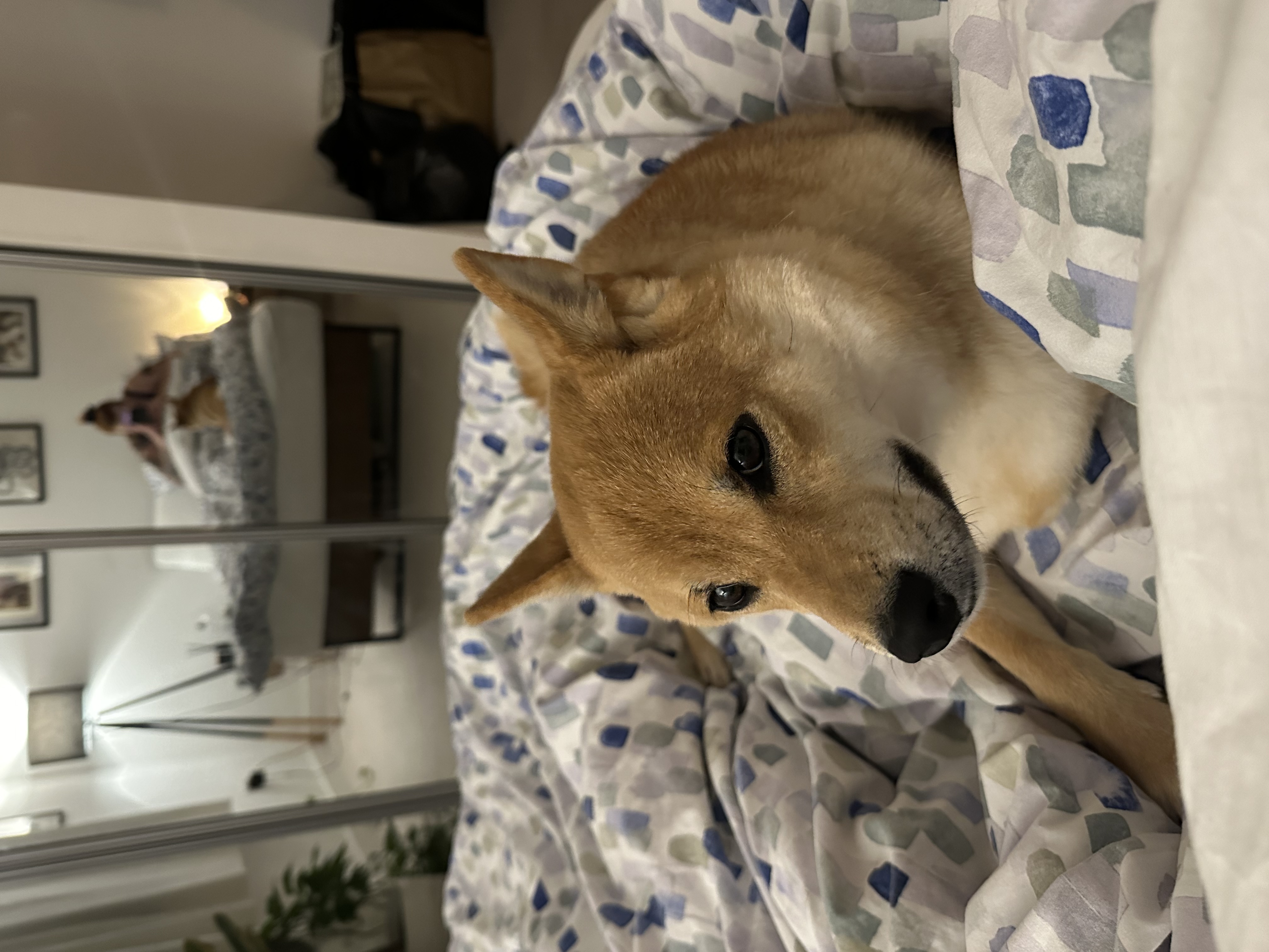 image-11
