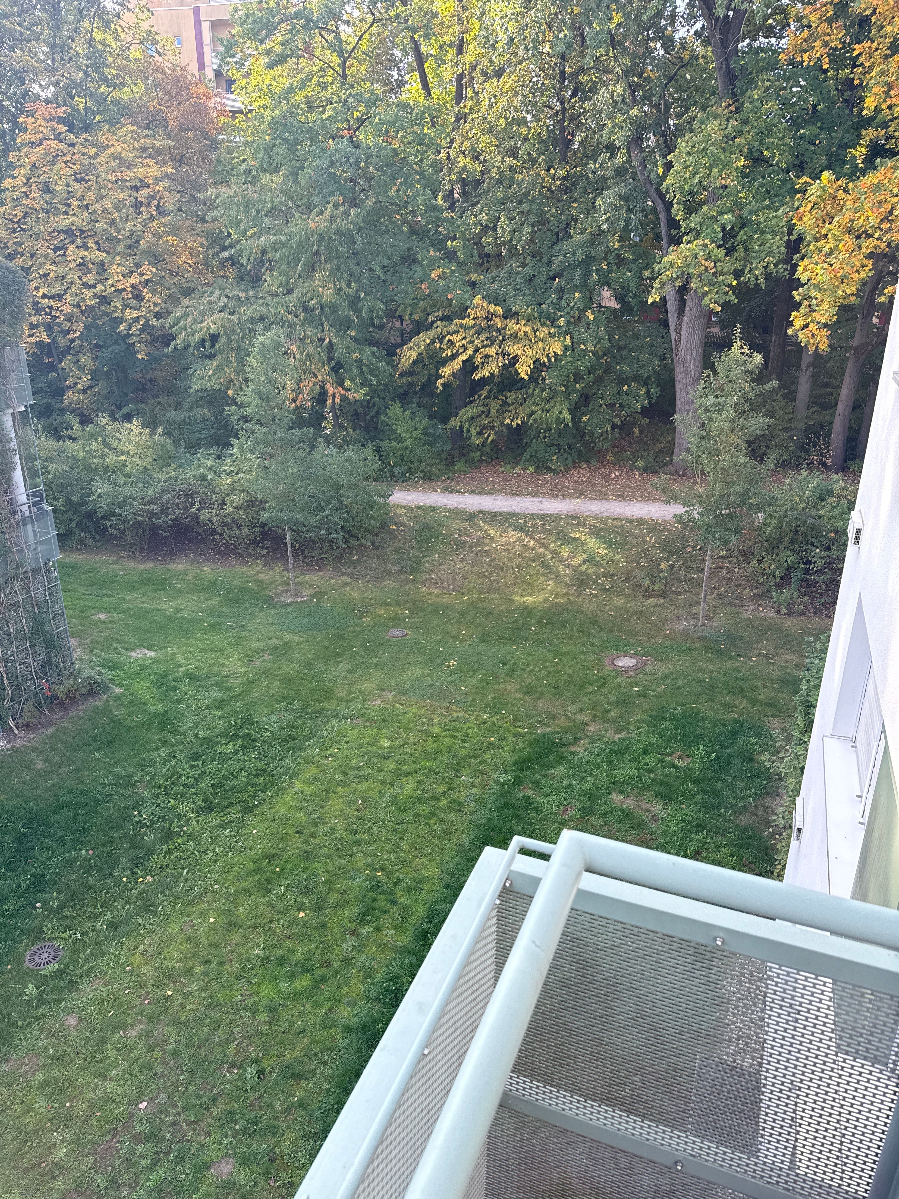 image-18