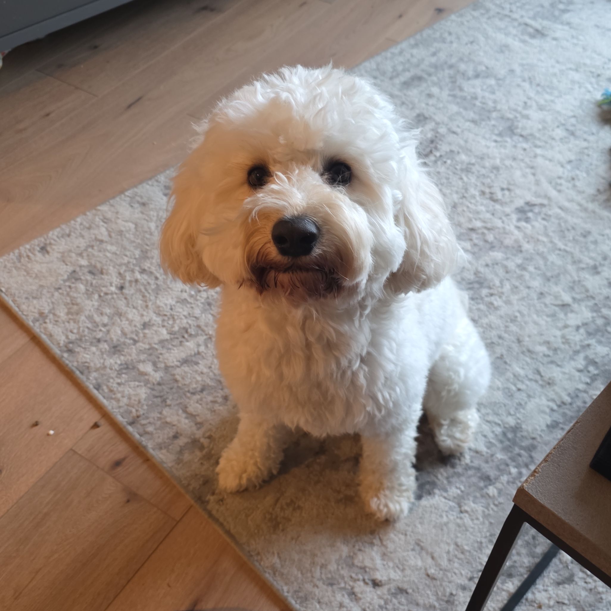 Odin