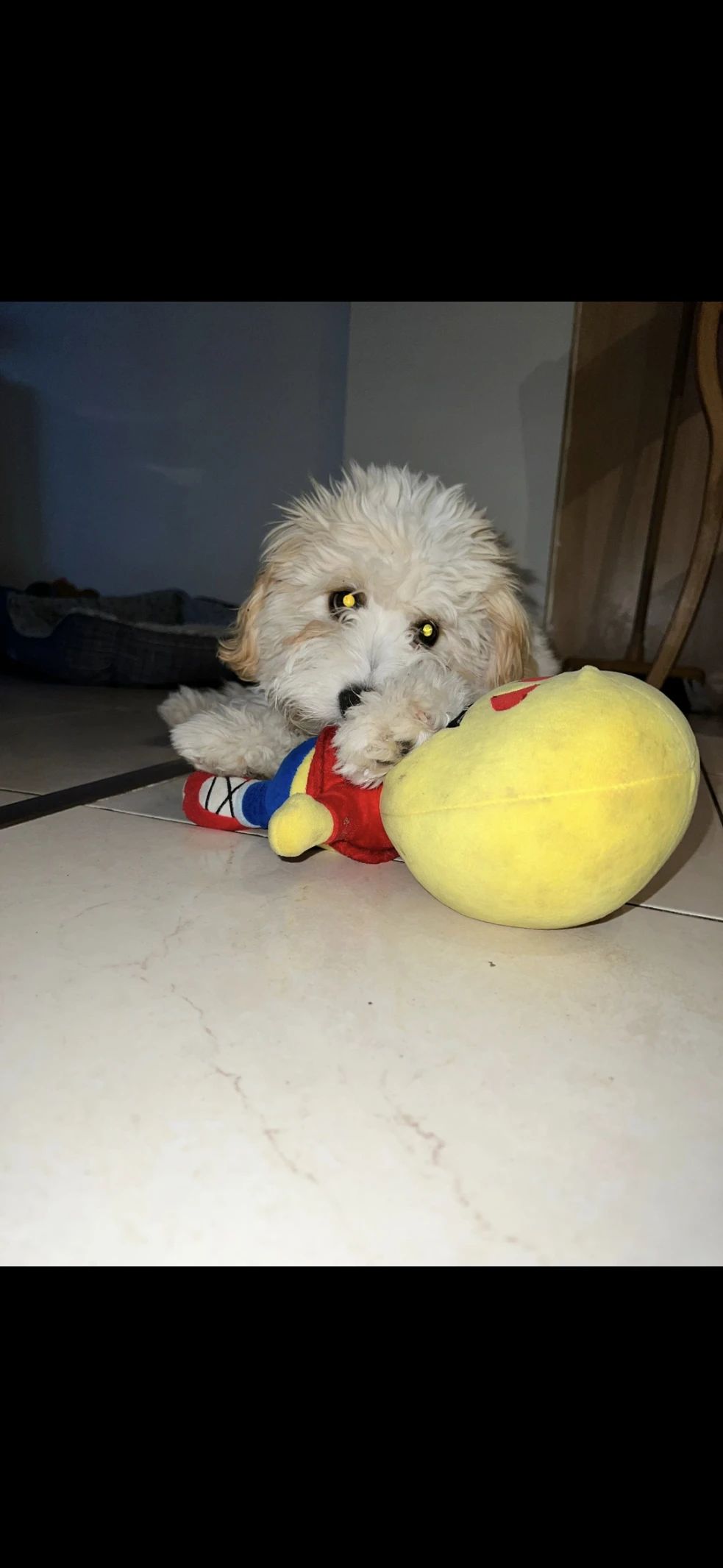 image-8