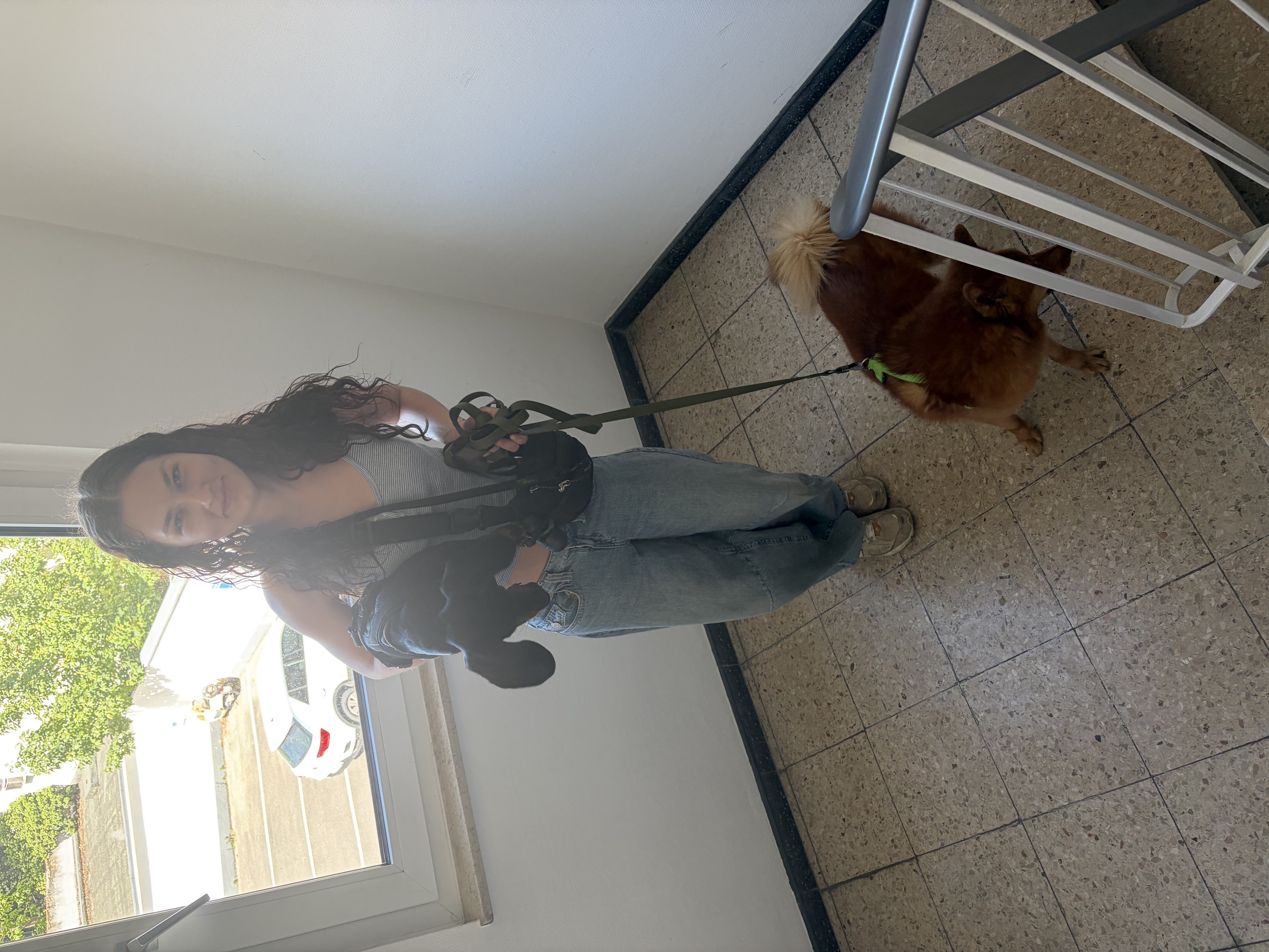 image-13