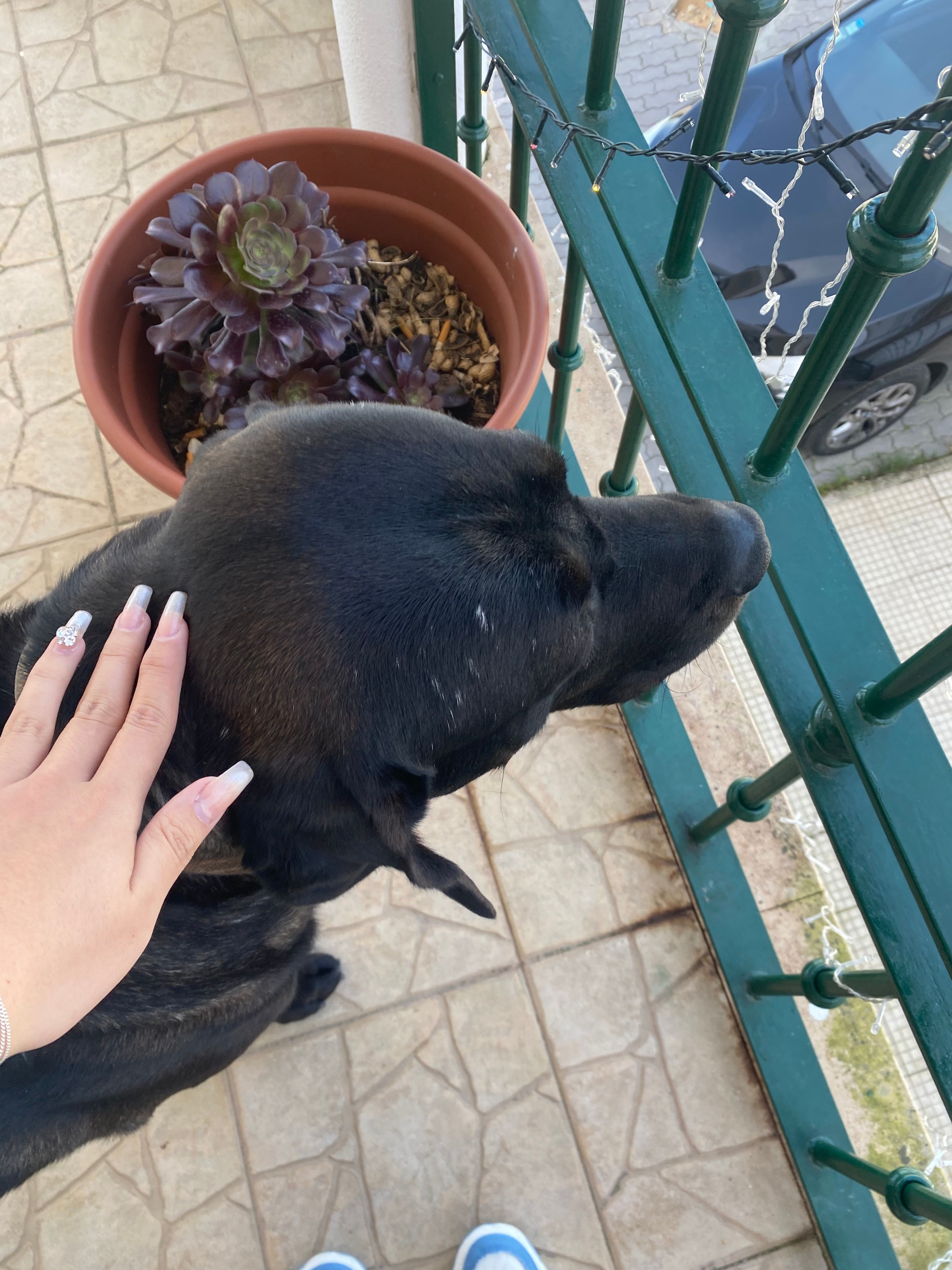 image-6