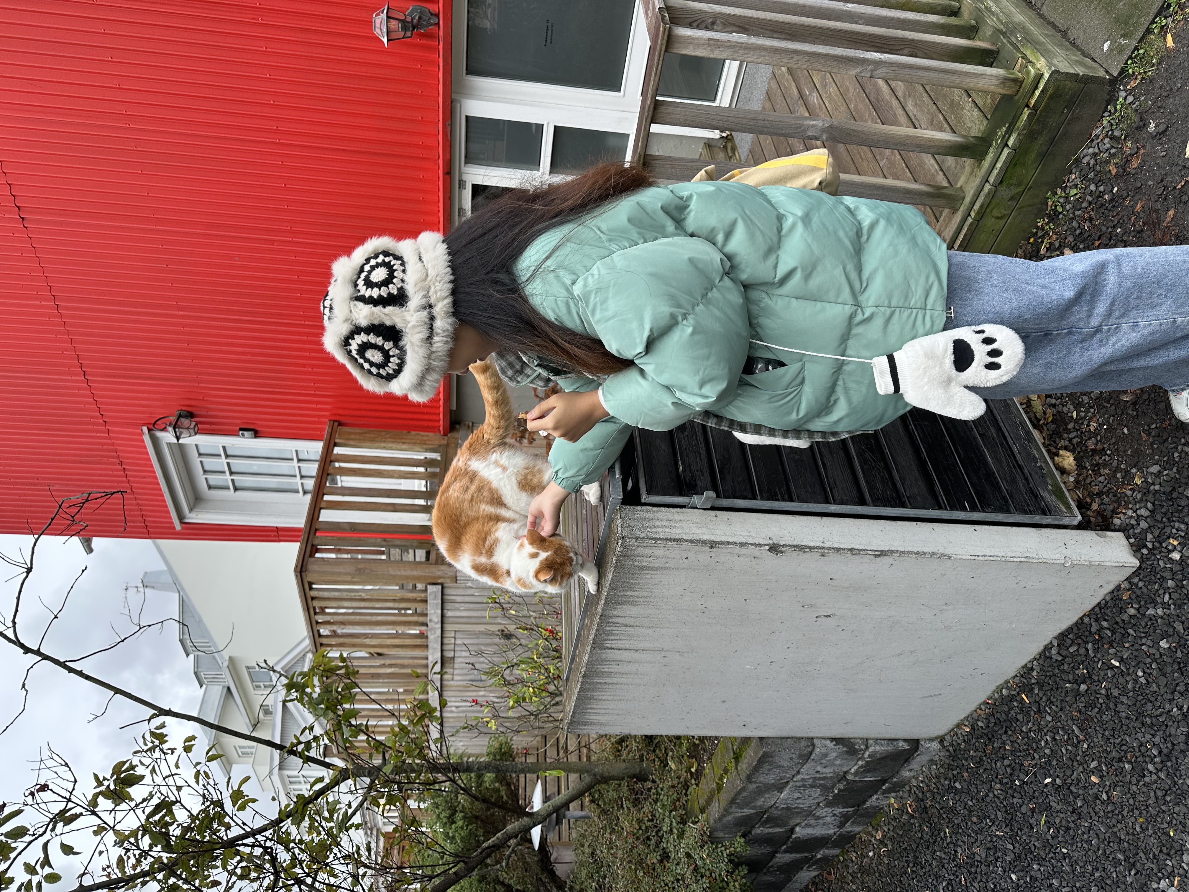 image-10