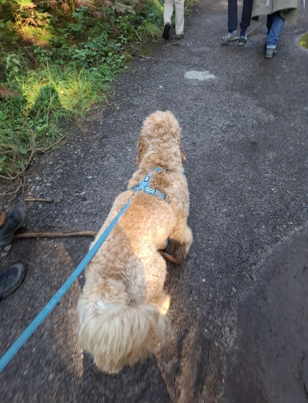 image-7