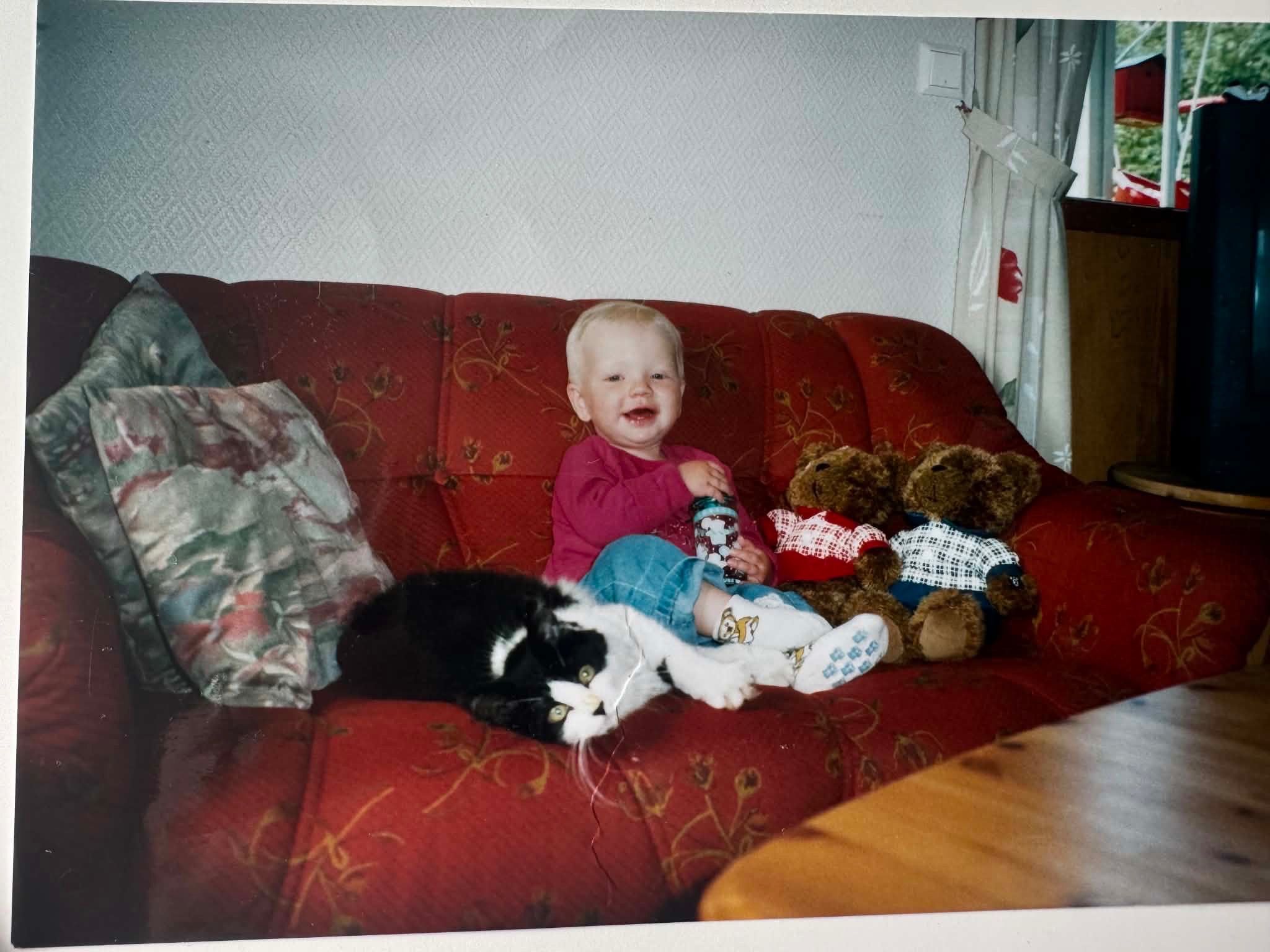 image-5