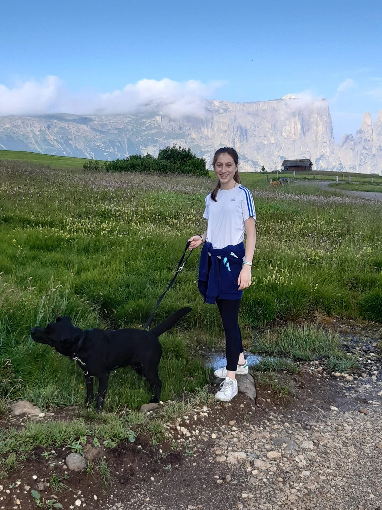 image-5