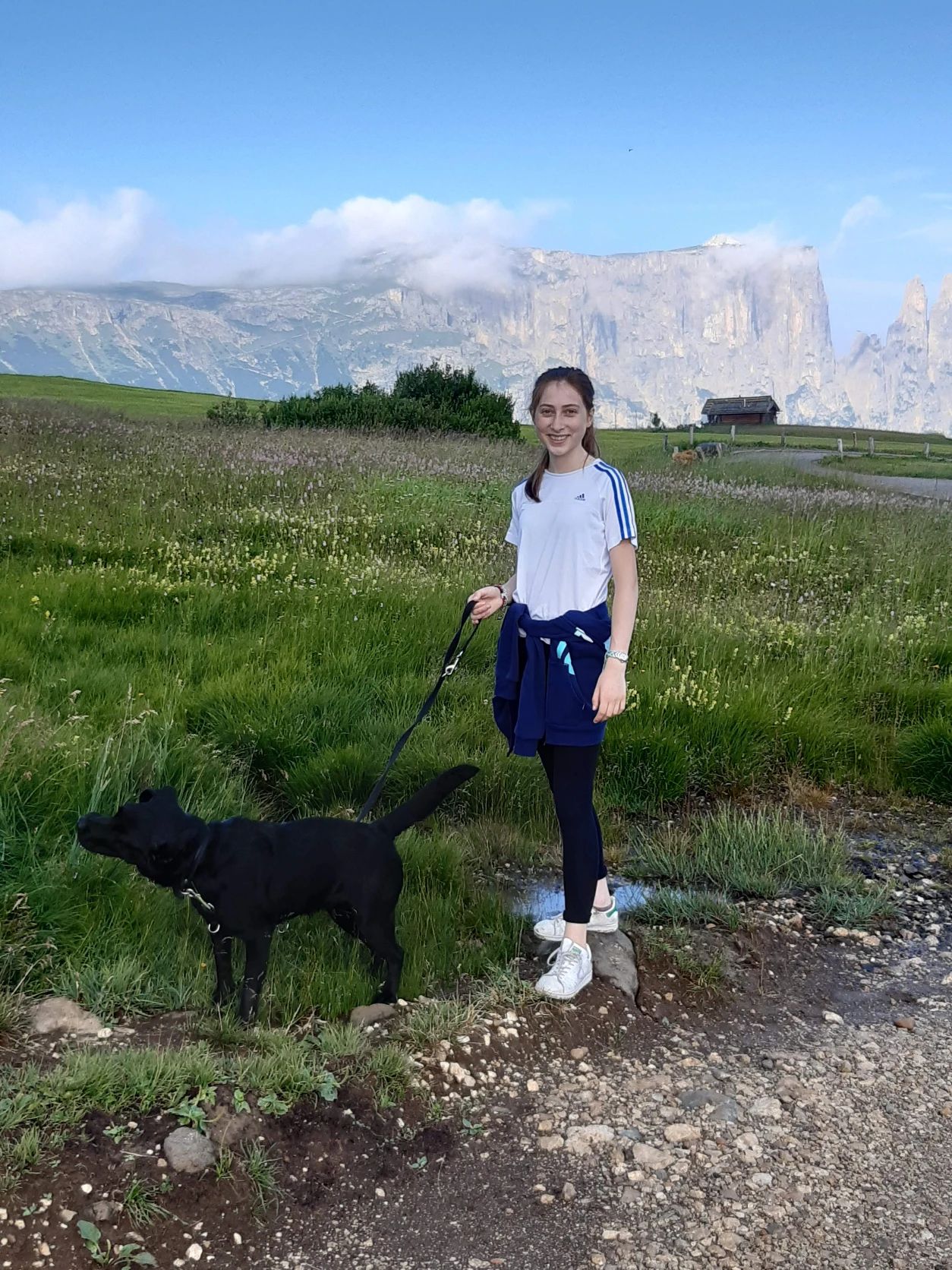 image-5