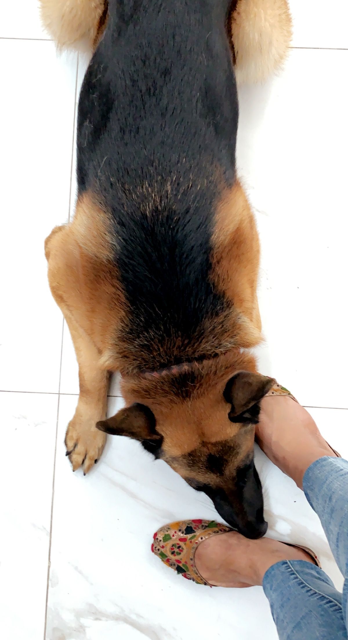 image-6