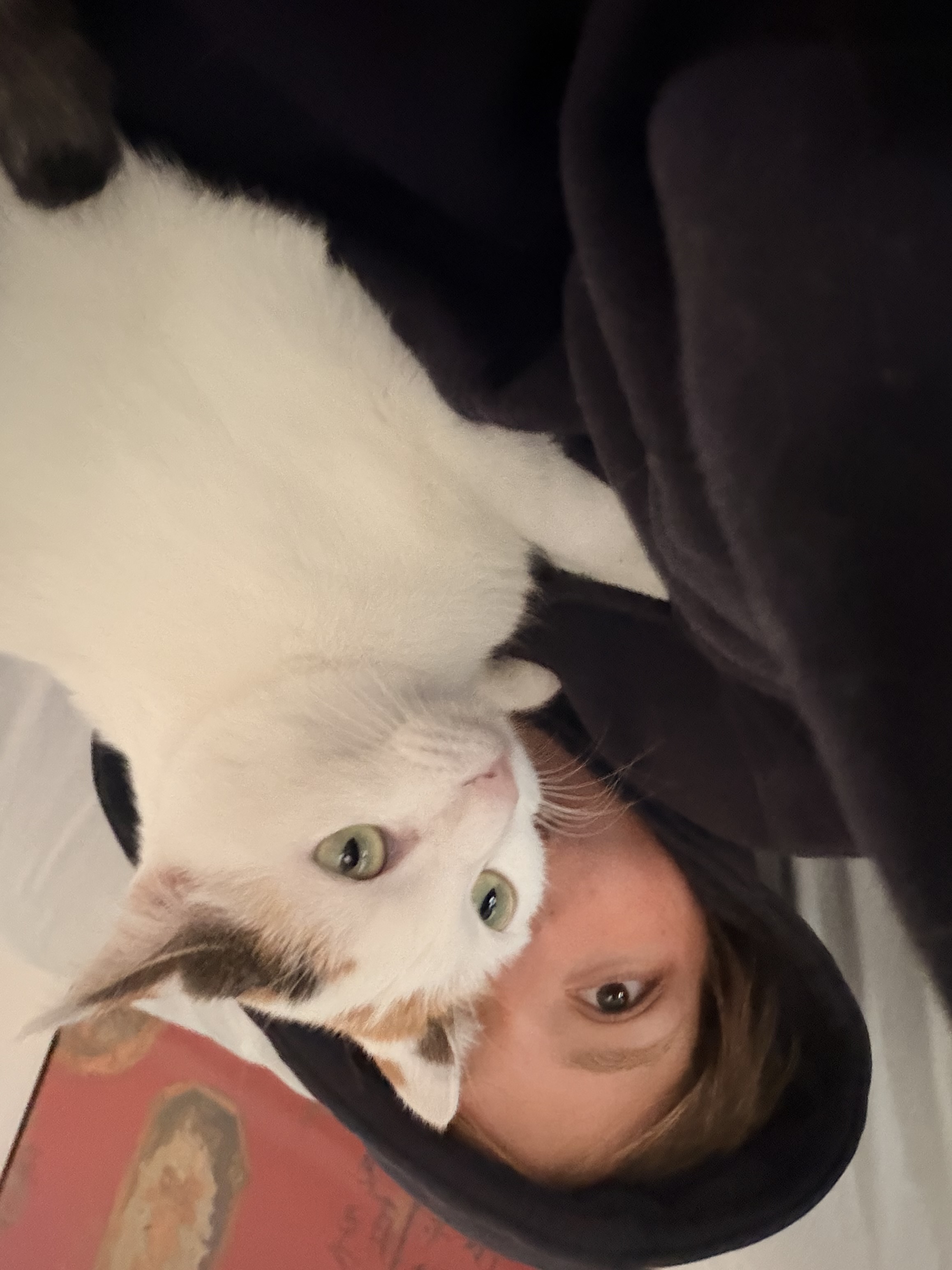 image-6