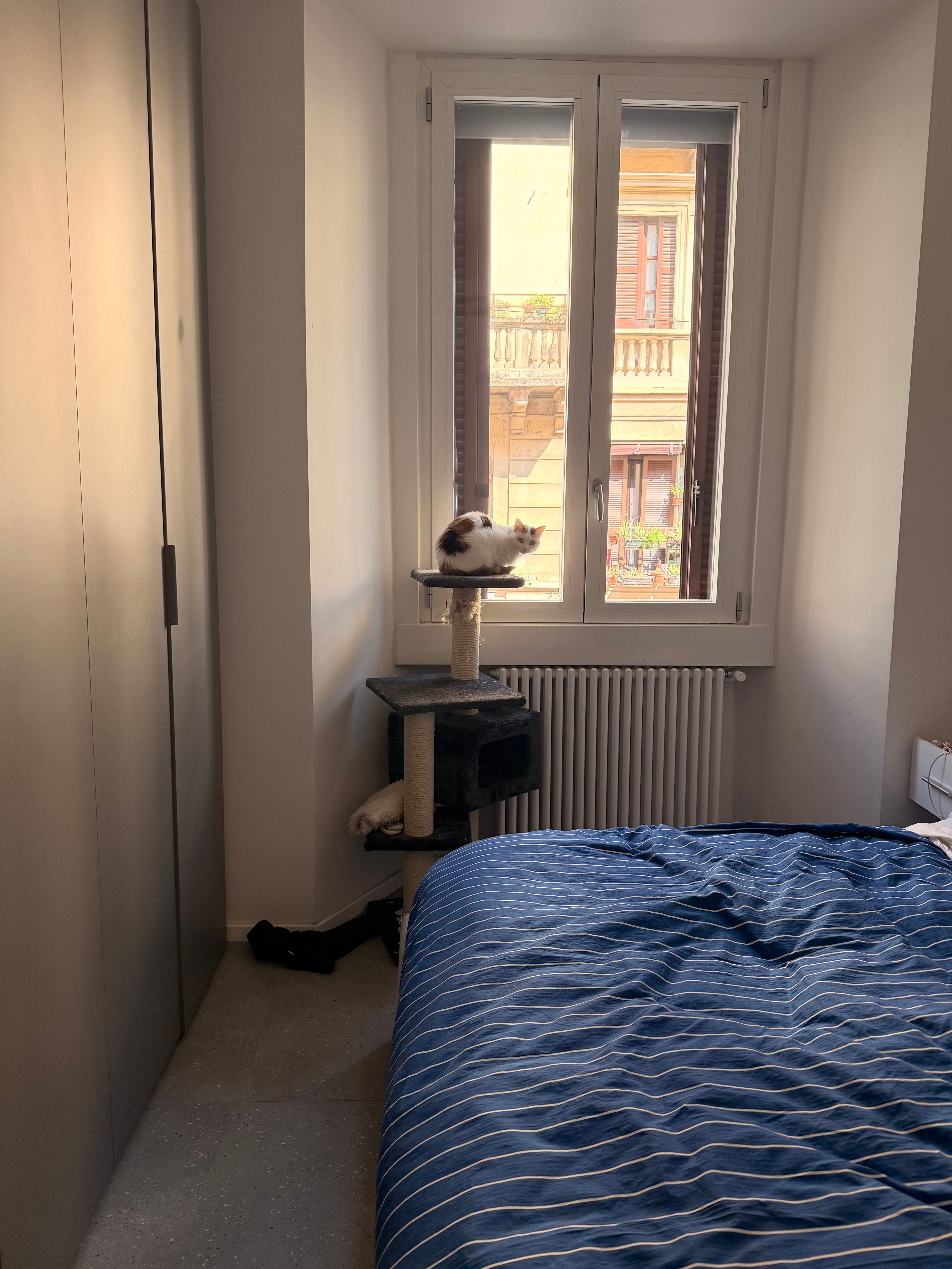 image-10