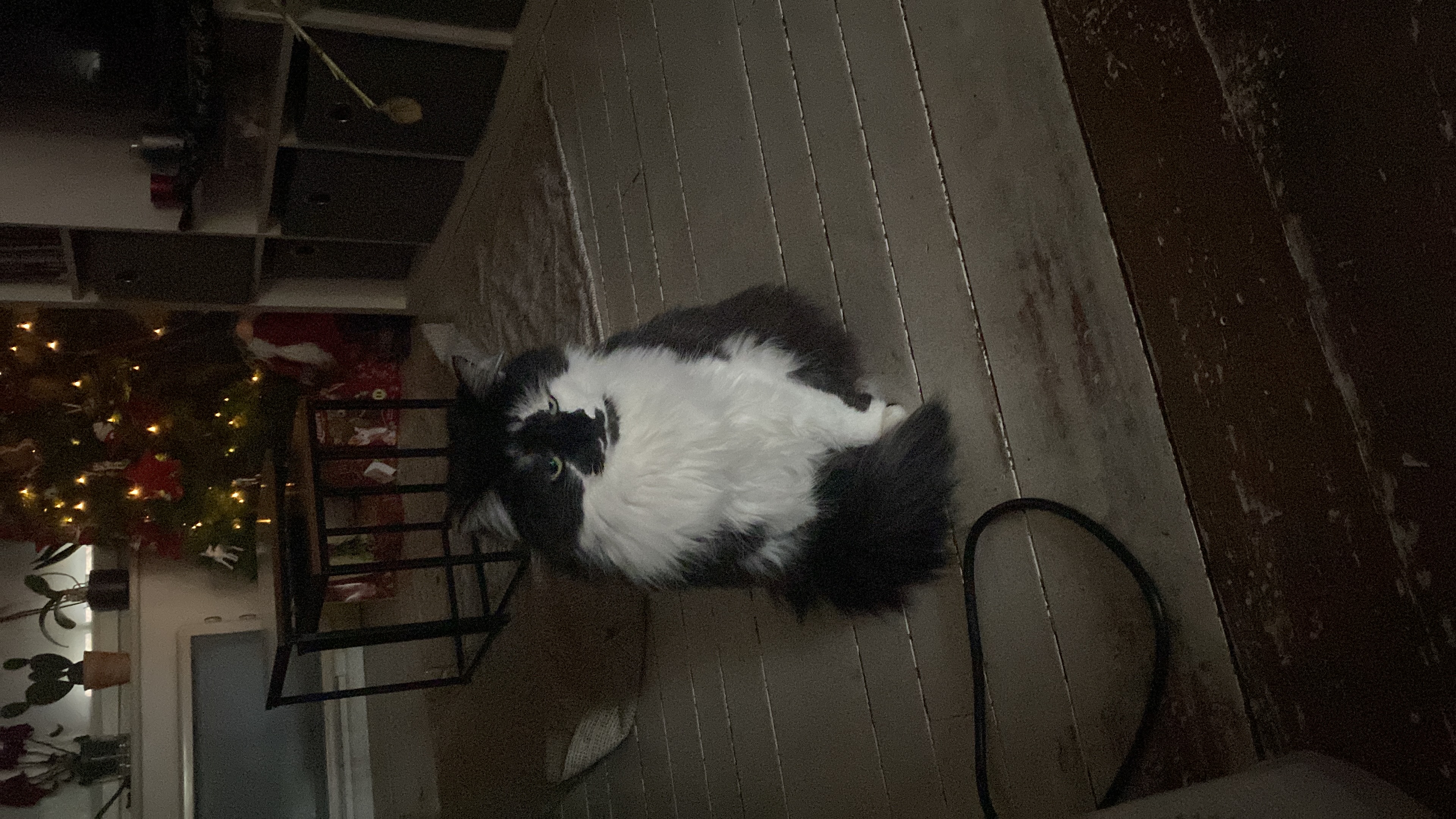image-7