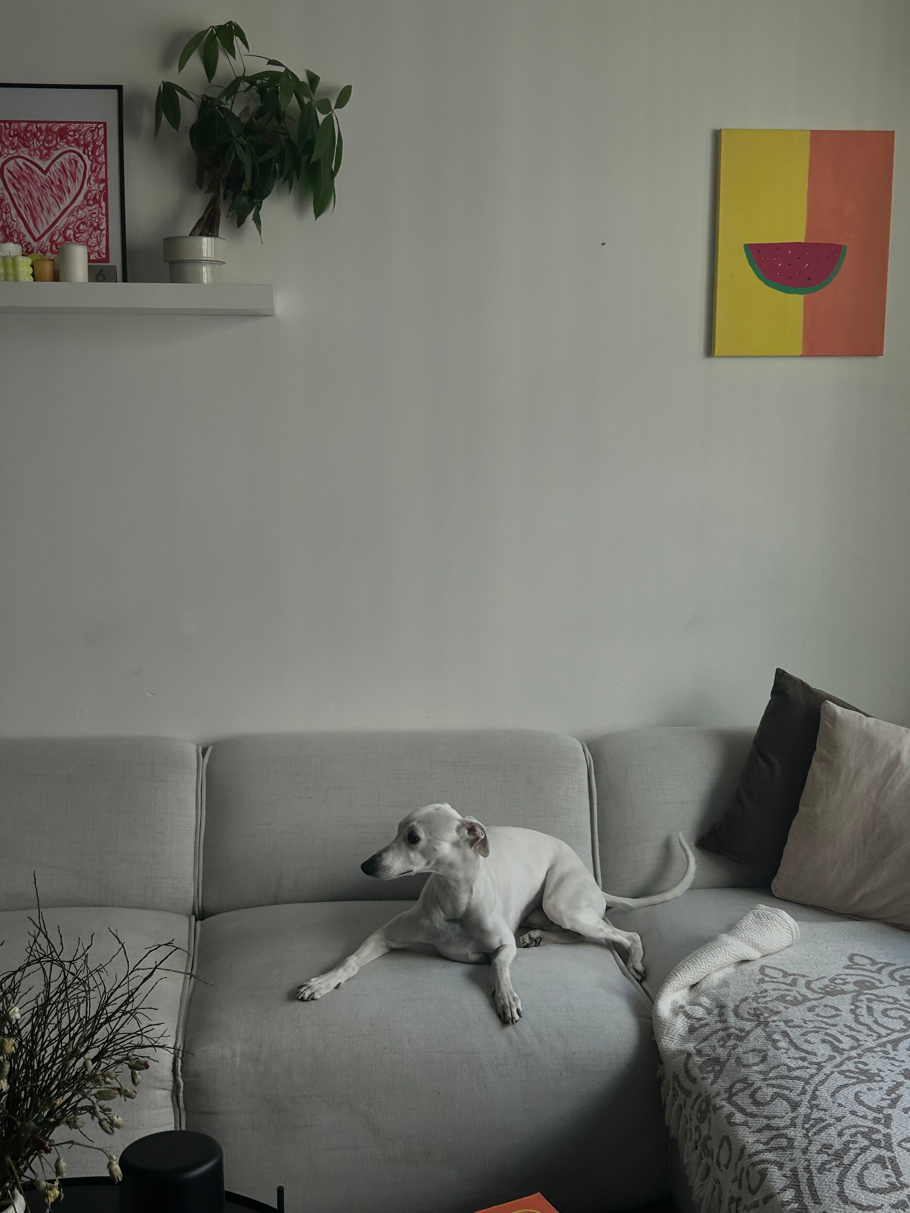 image-7