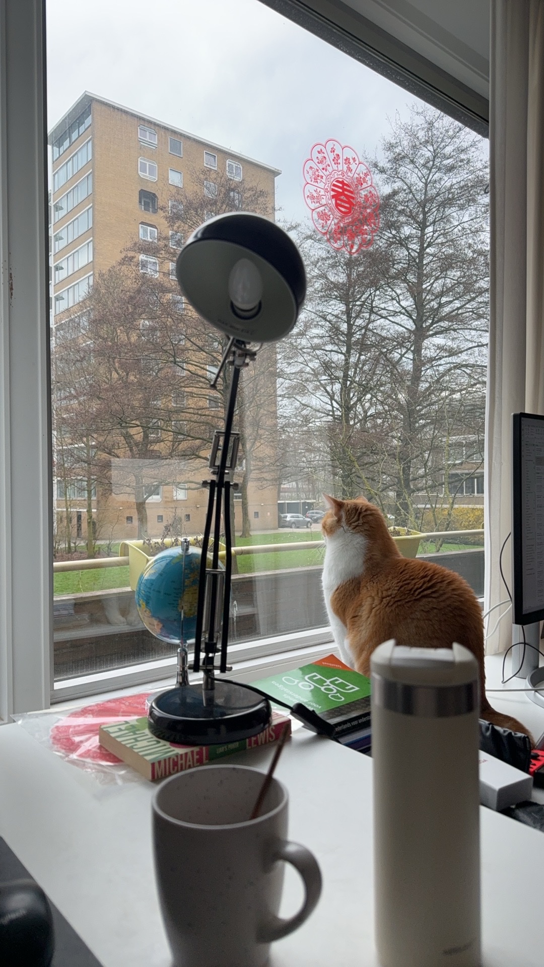 image-11