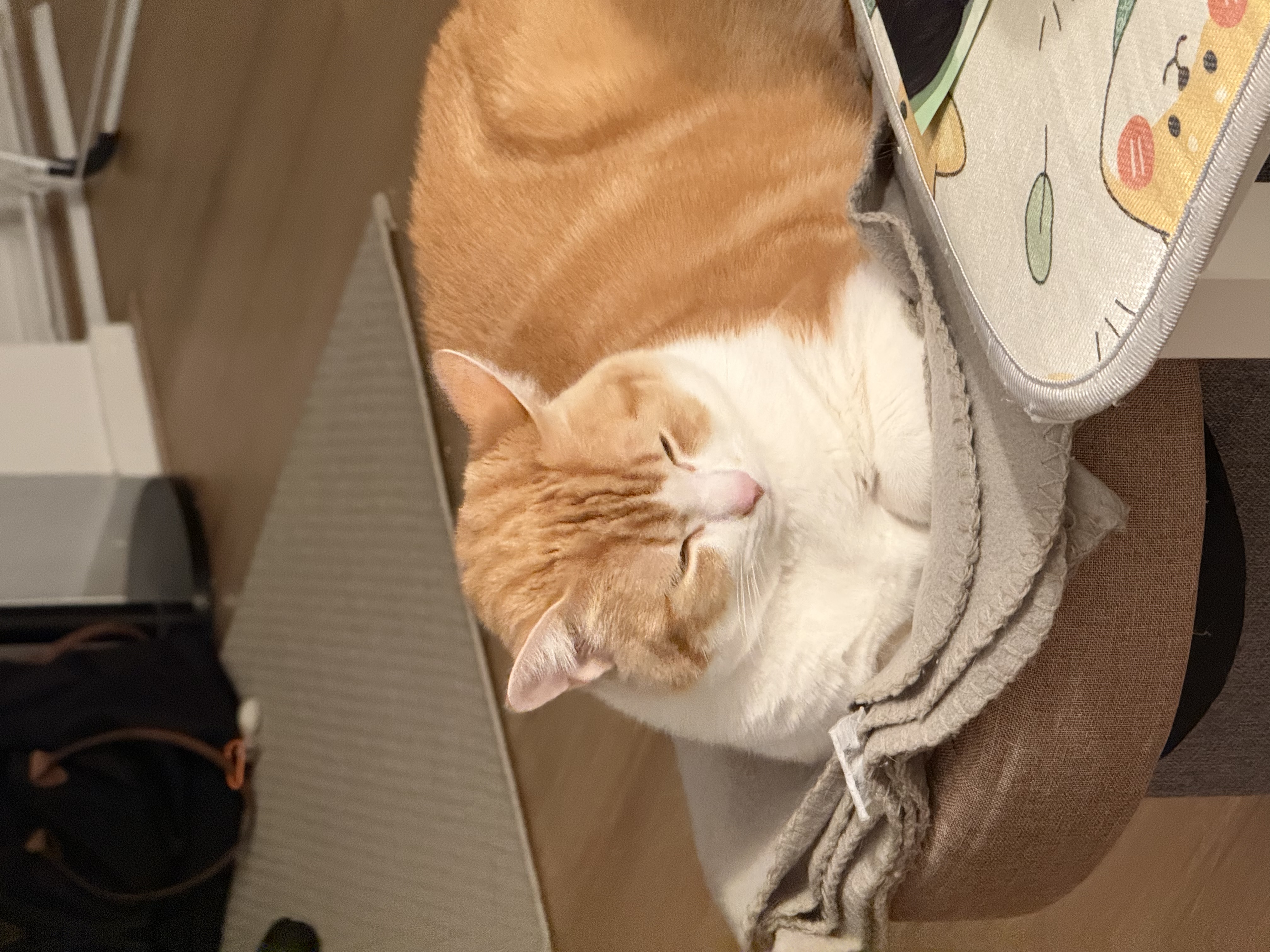 image-8