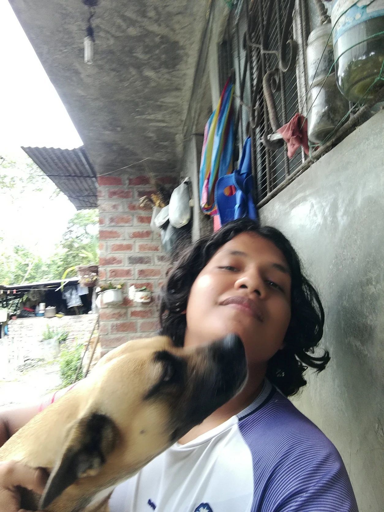 image-3