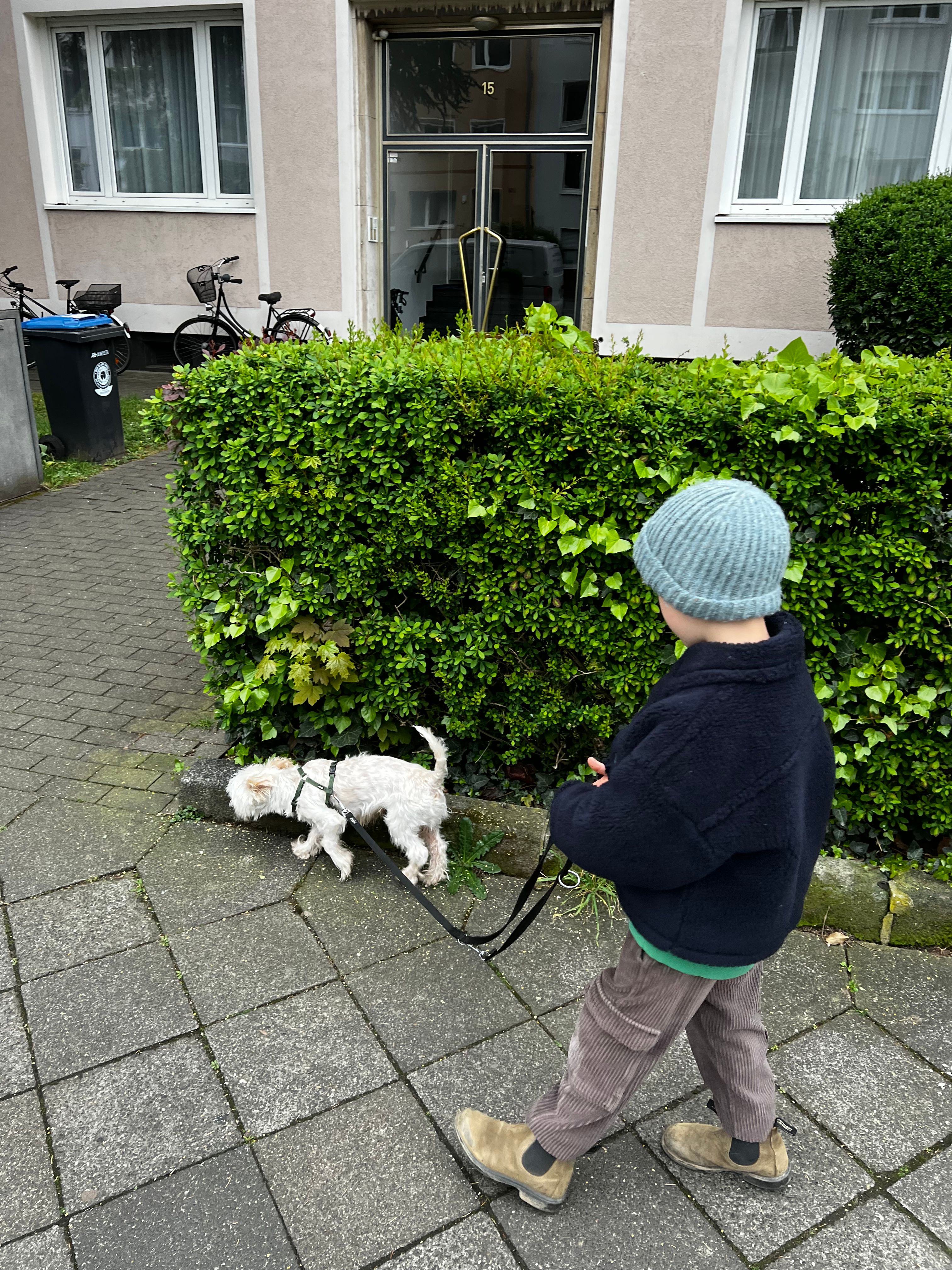 image-5