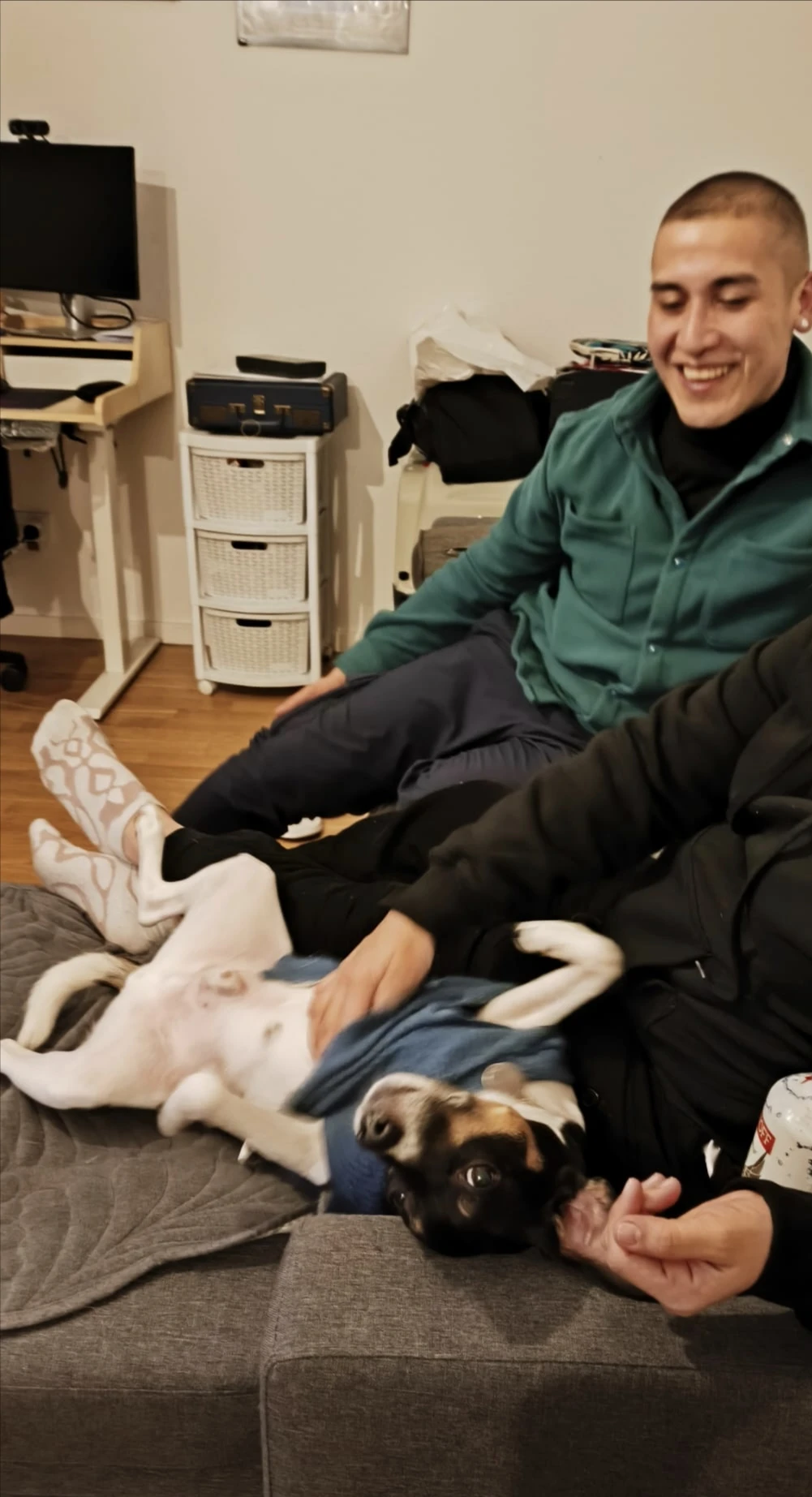 image-11