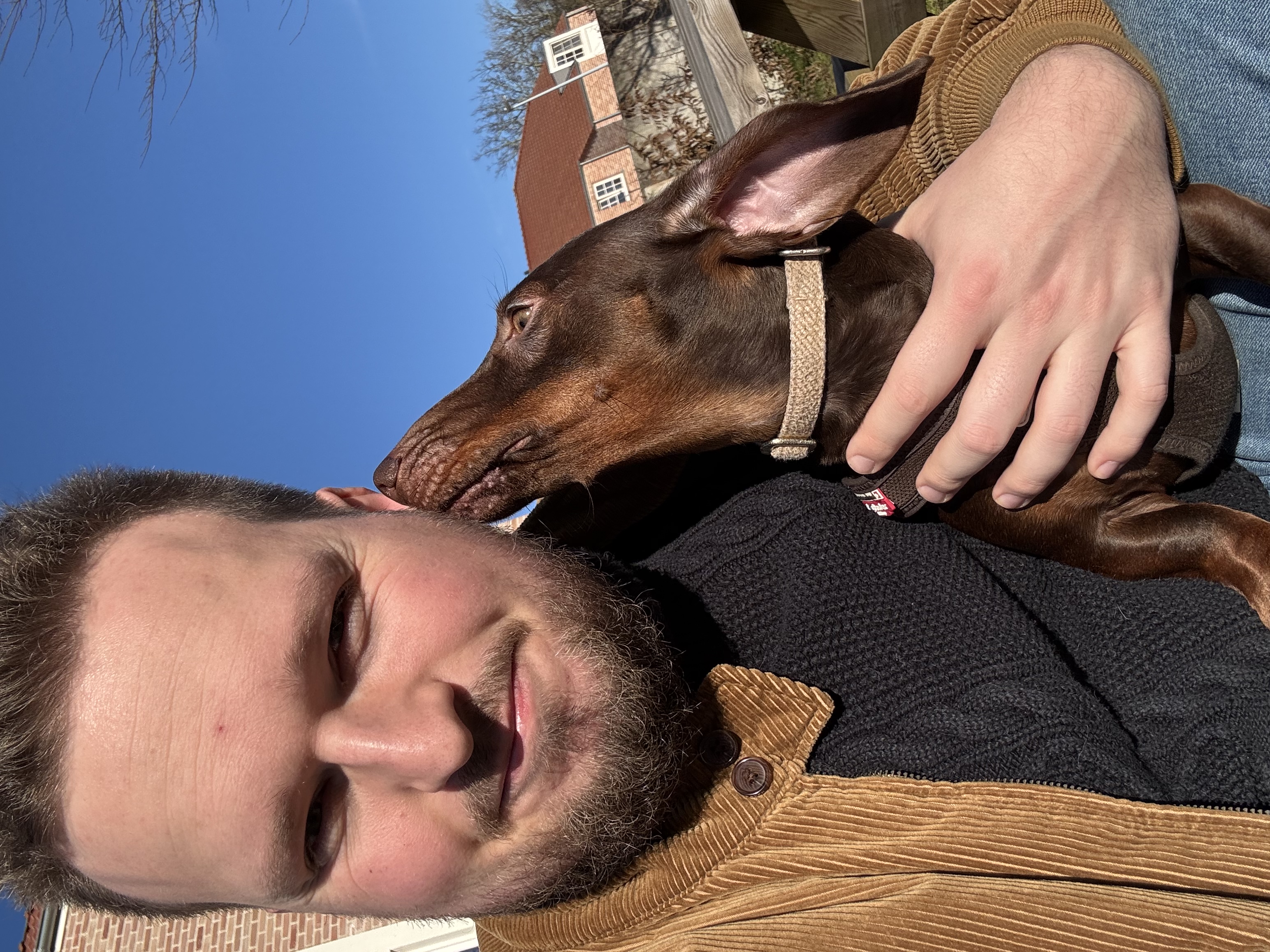 image-11