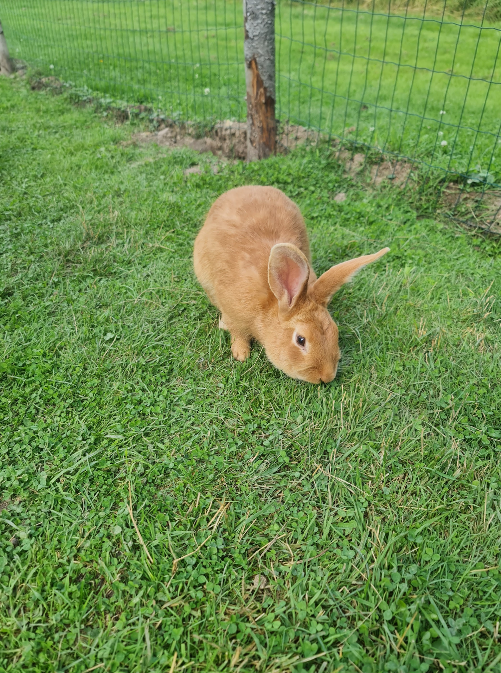 image-13