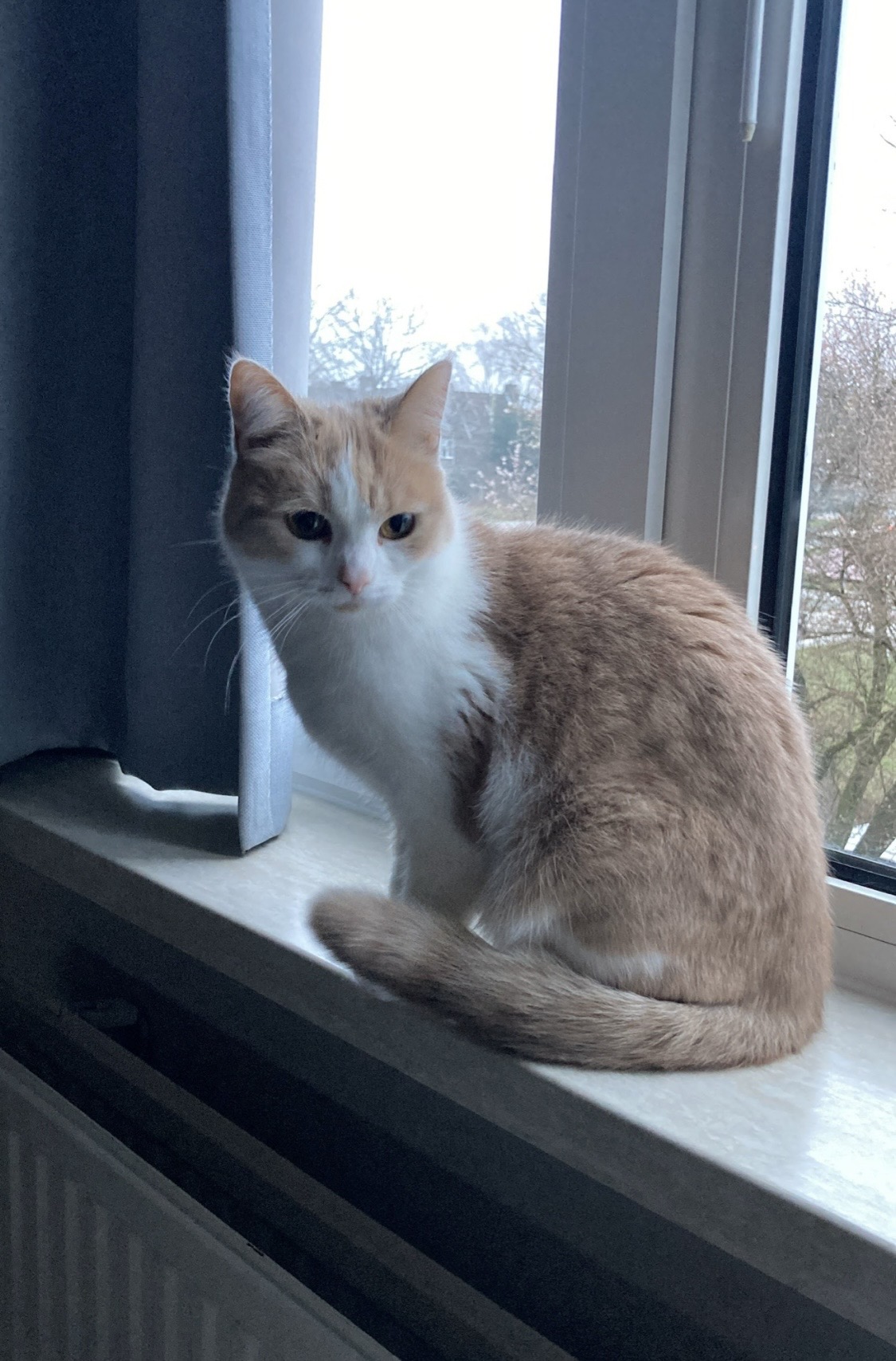 image-6