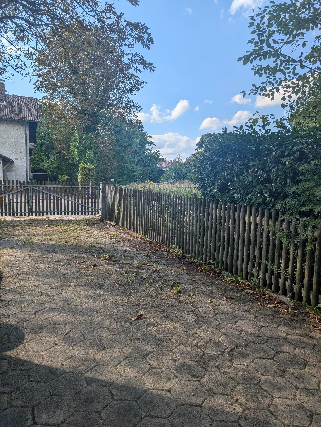 image-29