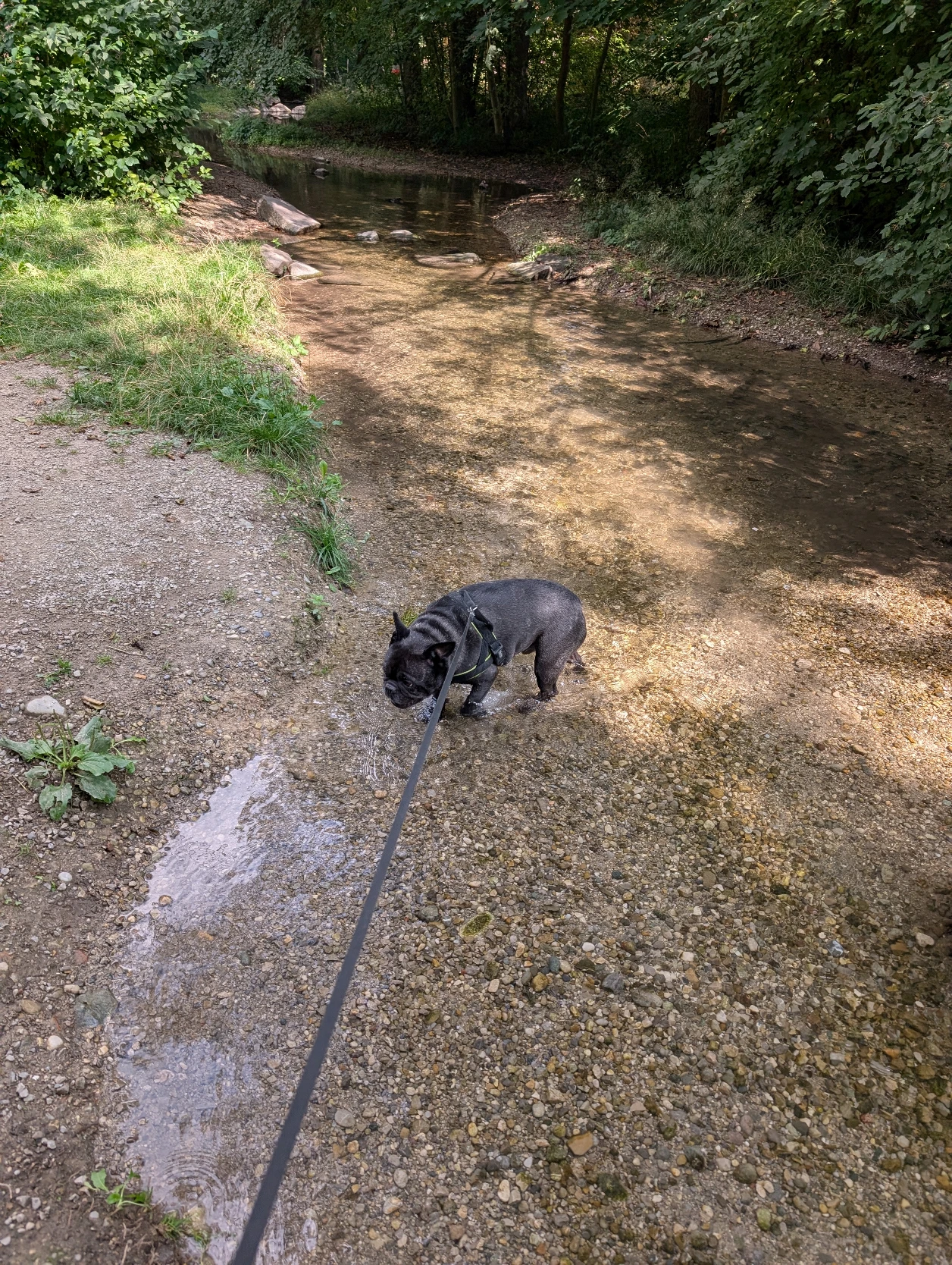 image-18