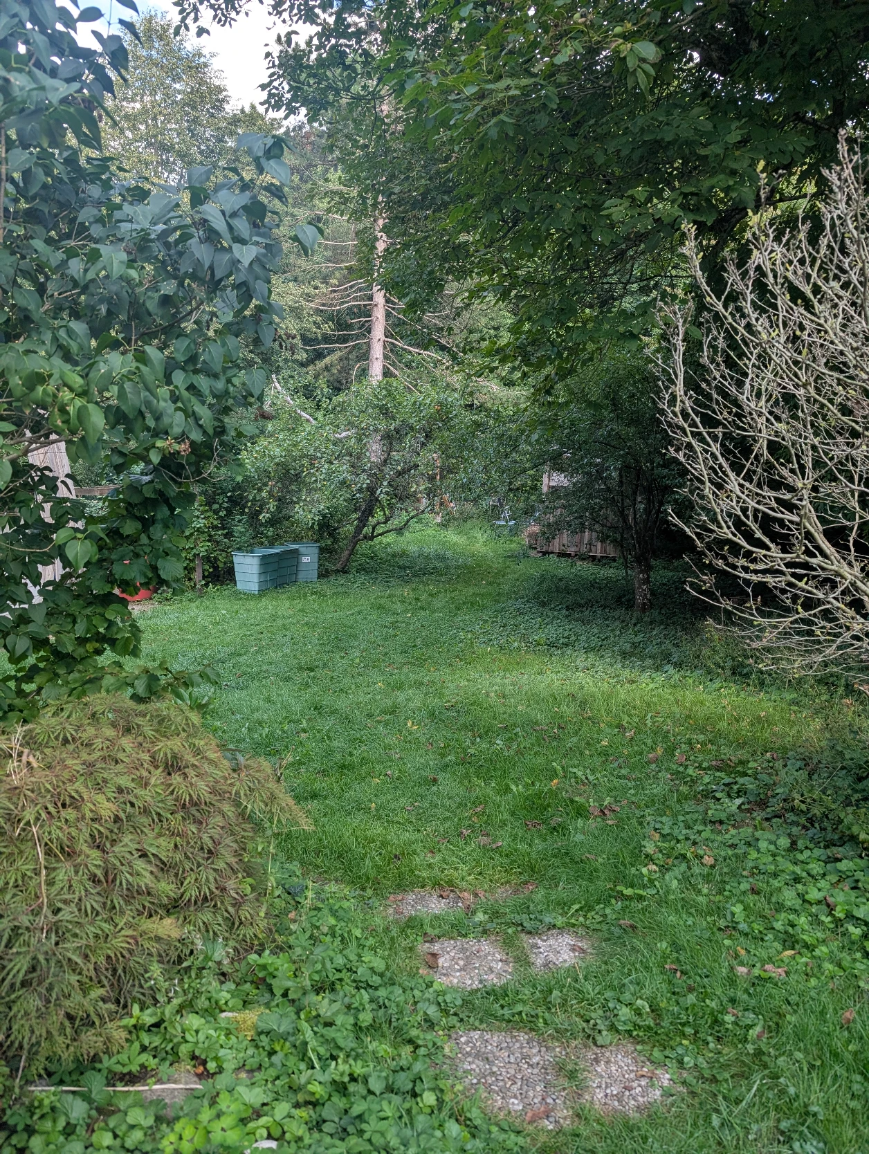 image-24