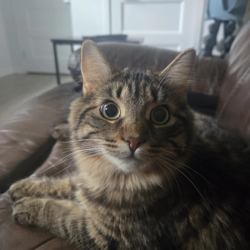 Didi