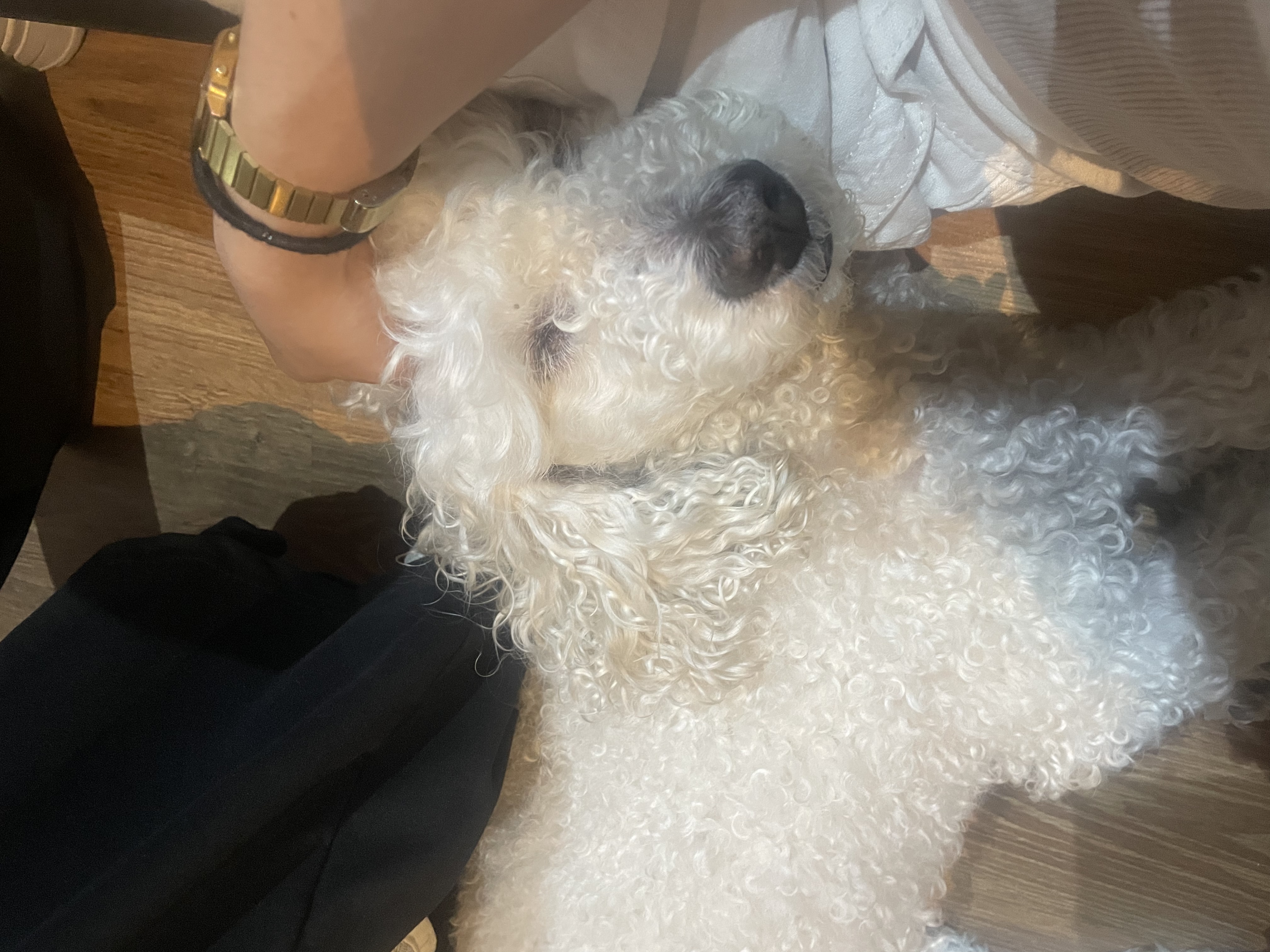 image-6
