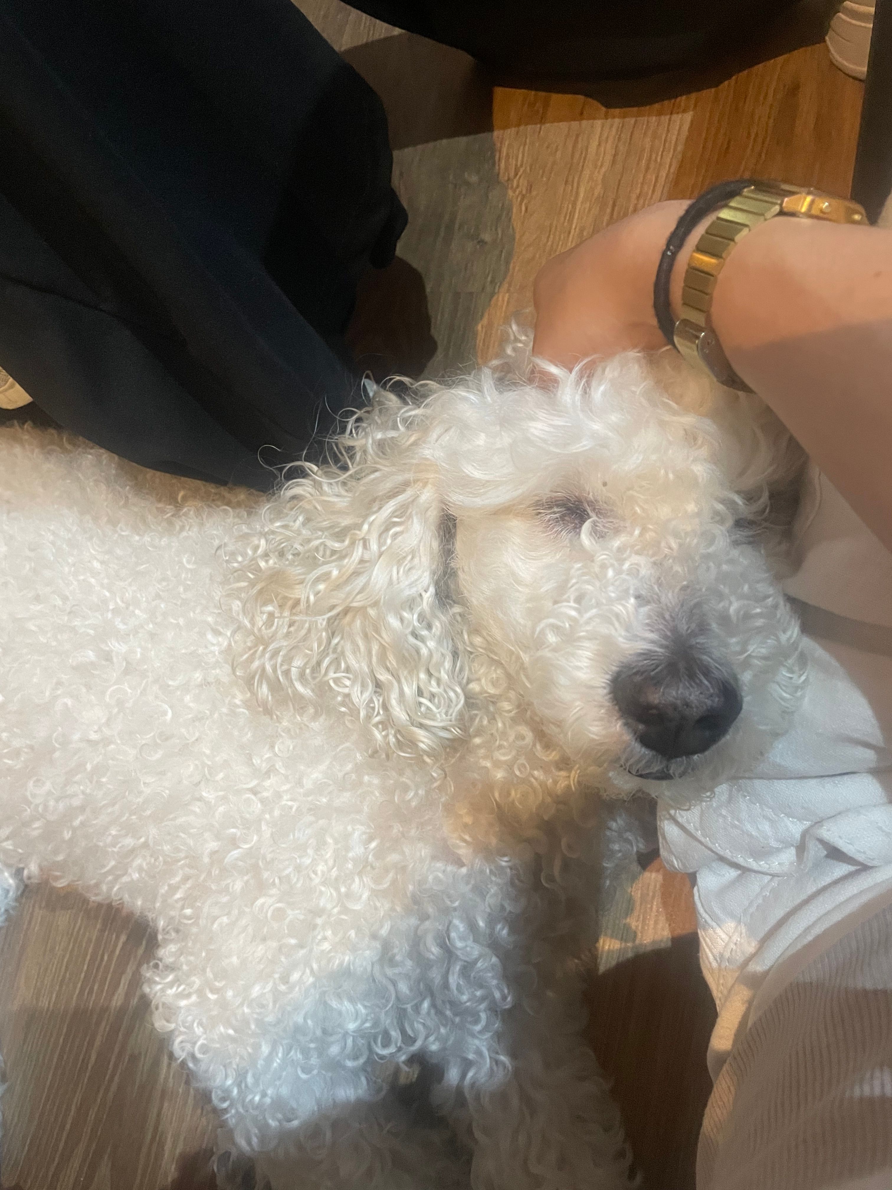 image-6
