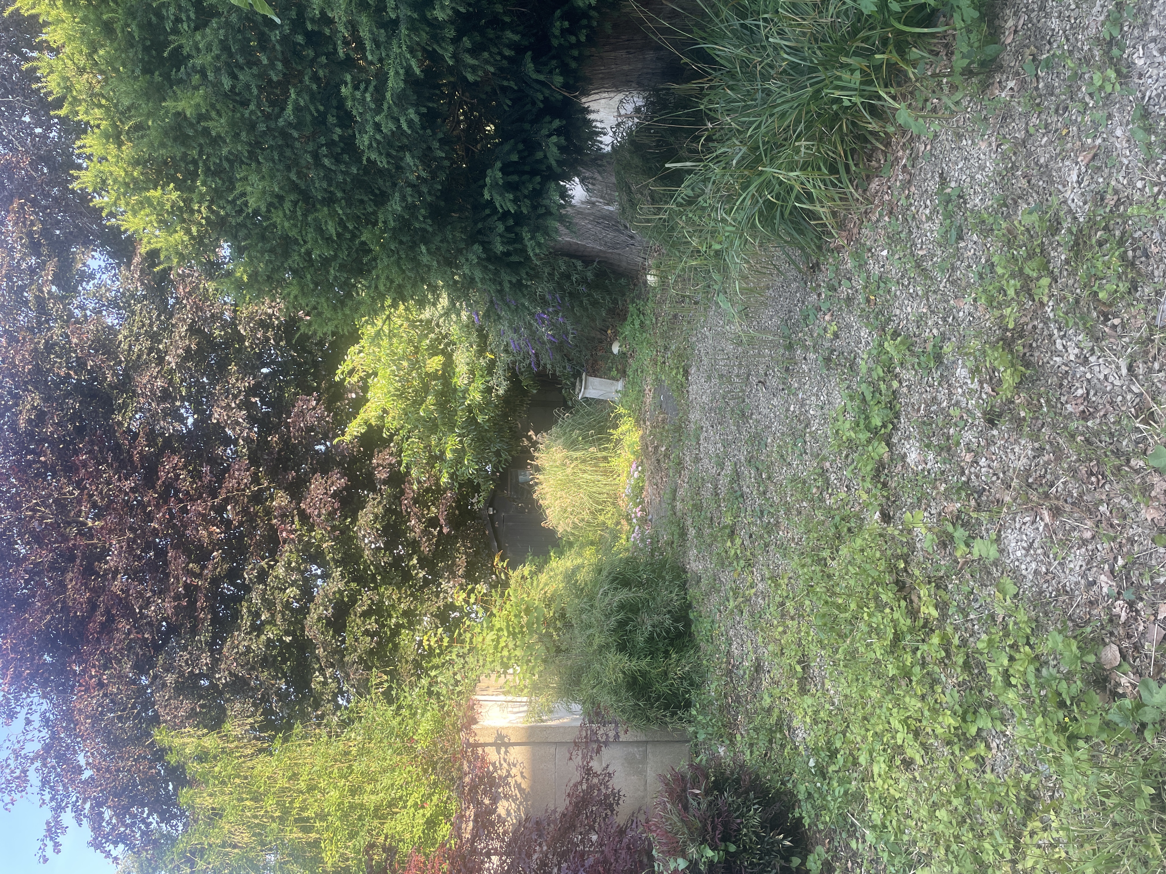 image-14