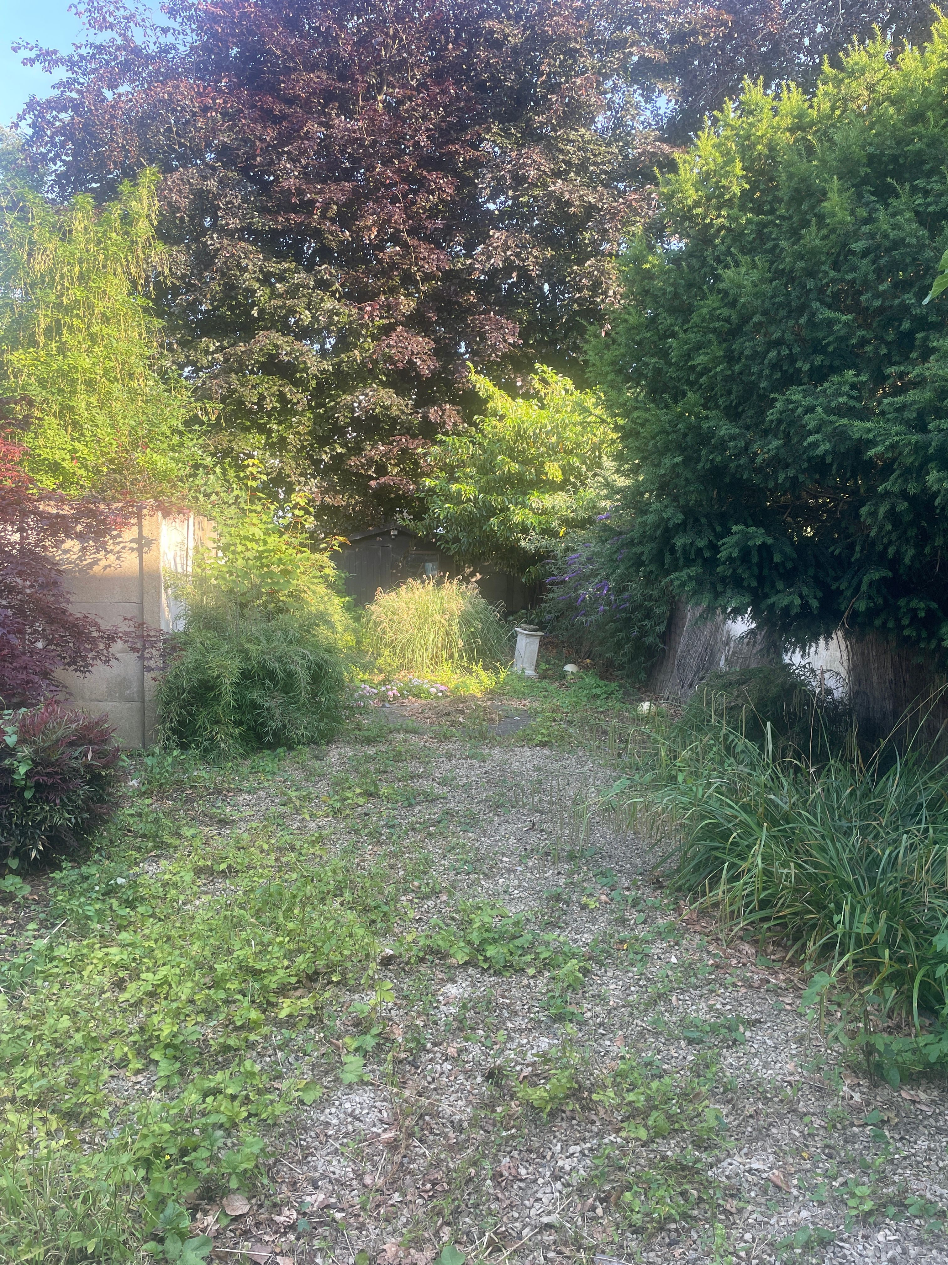 image-14