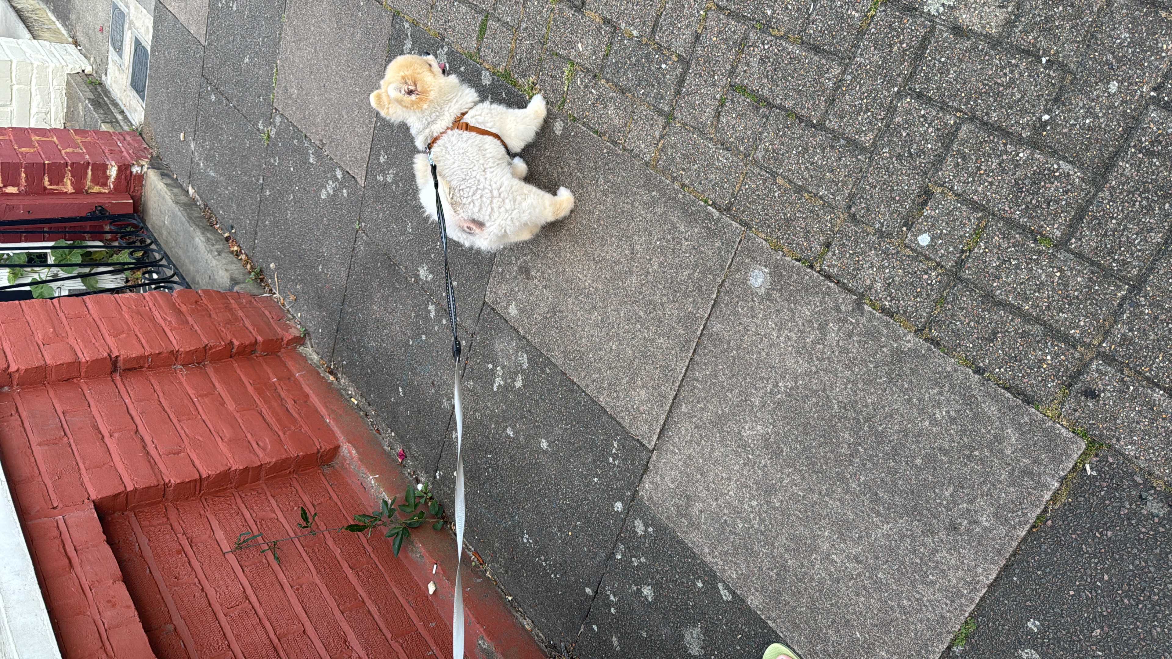 image-6