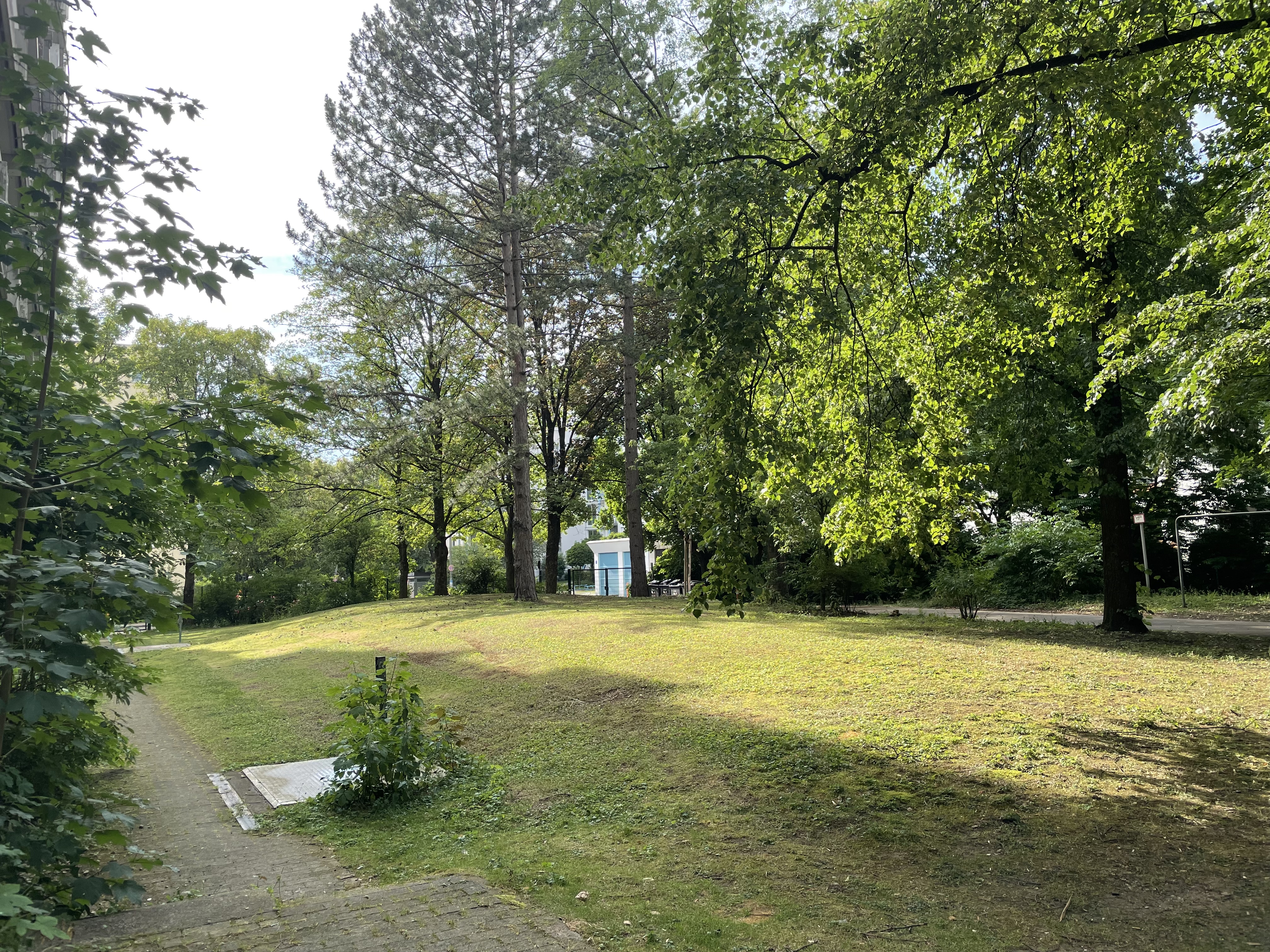 image-18