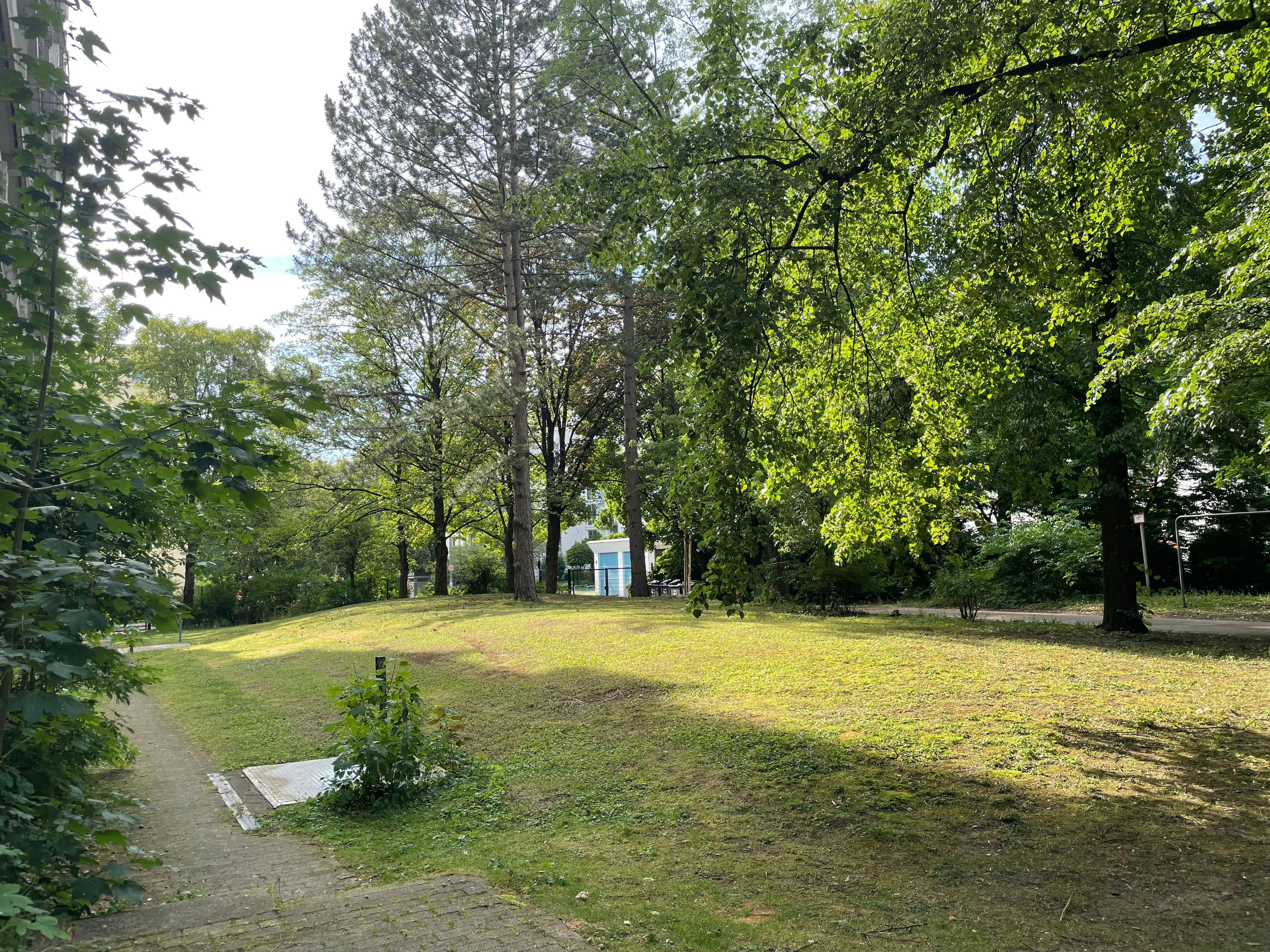 image-18