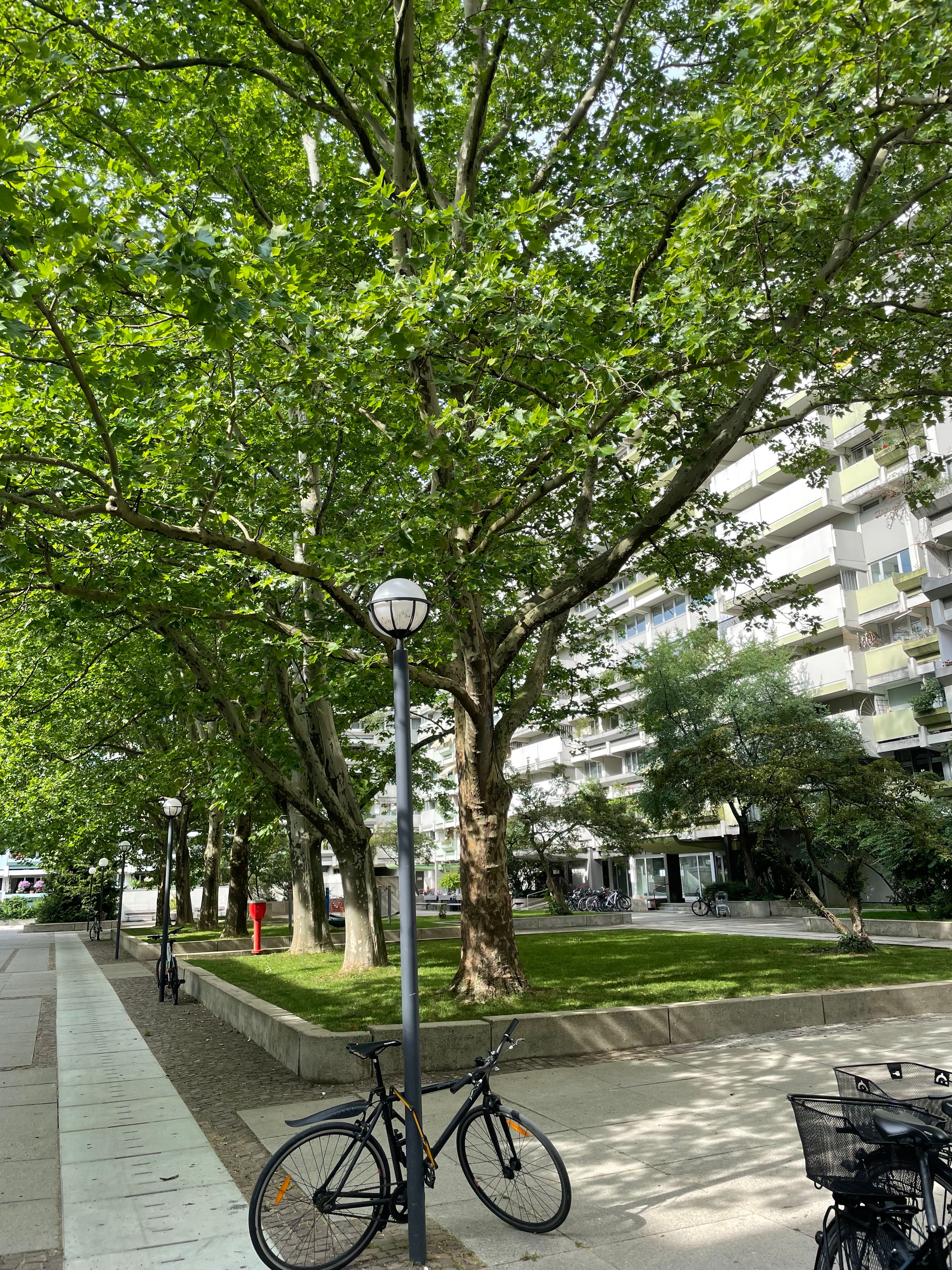 image-19