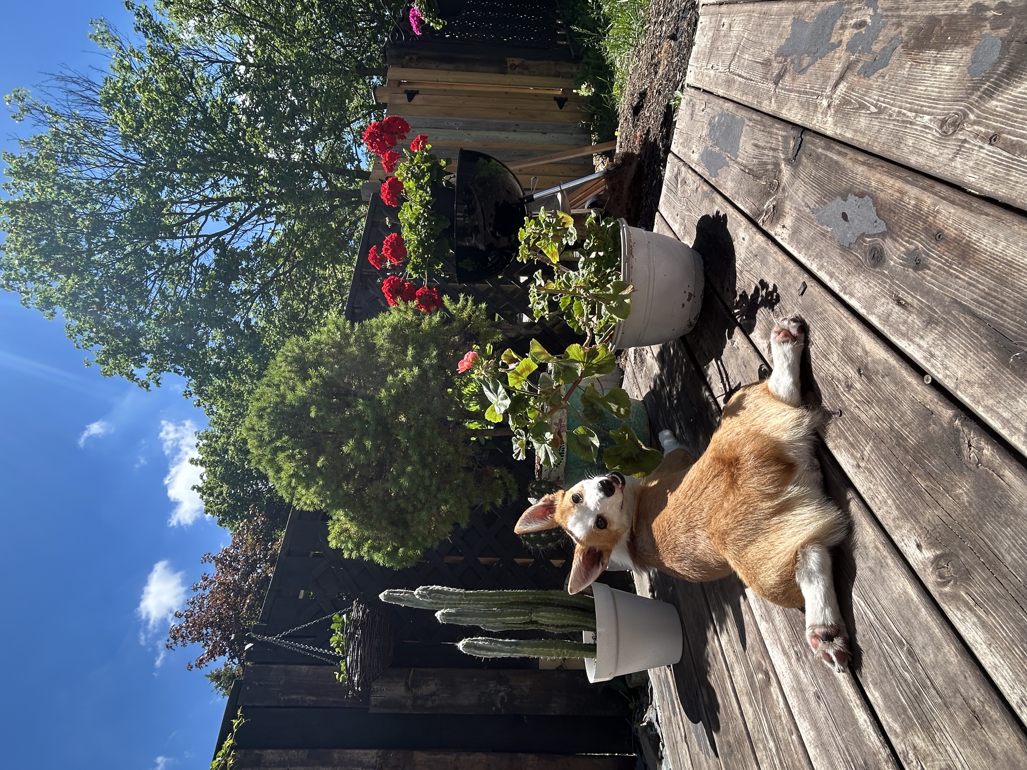 image-20