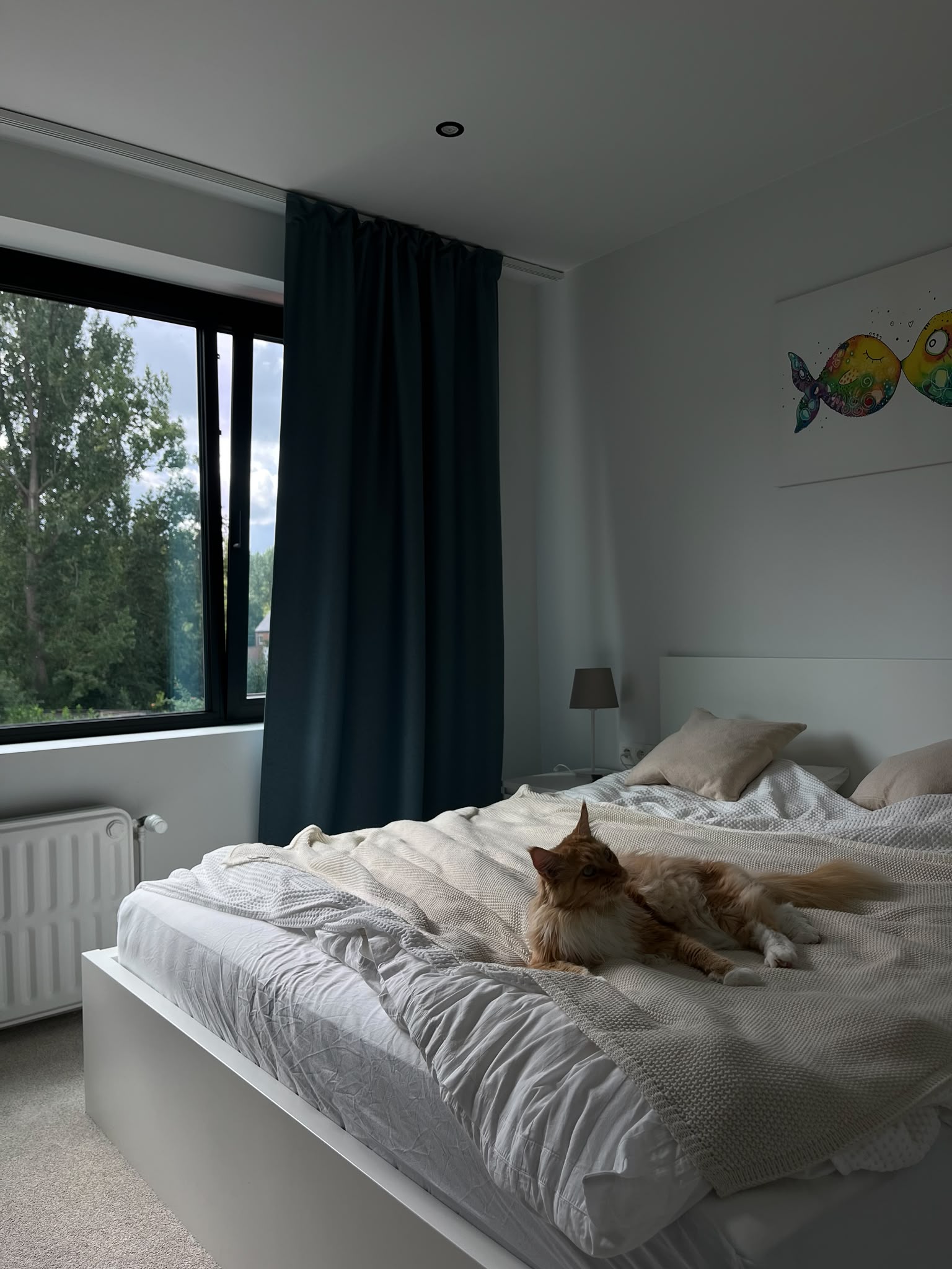image-9