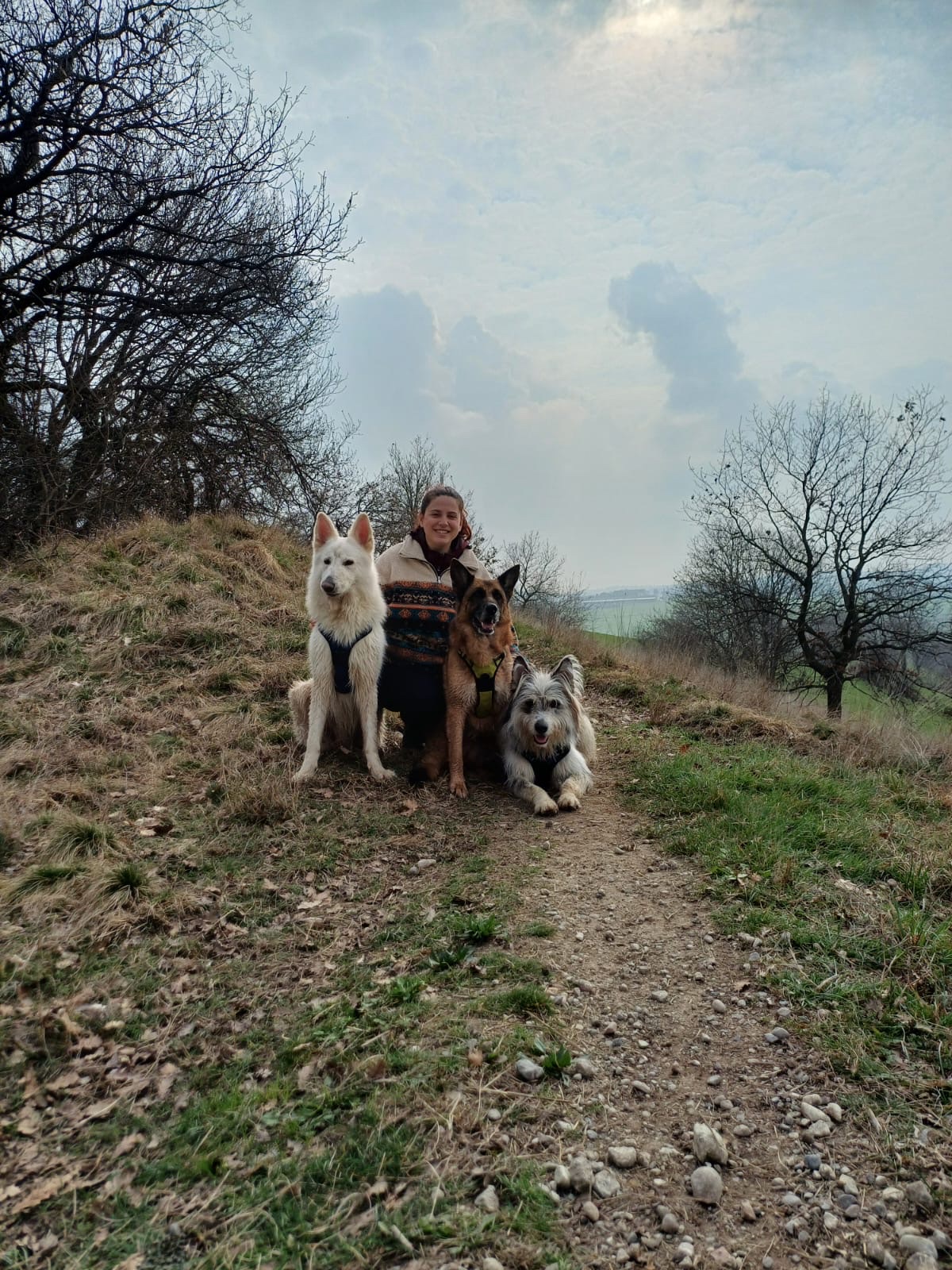 image-15