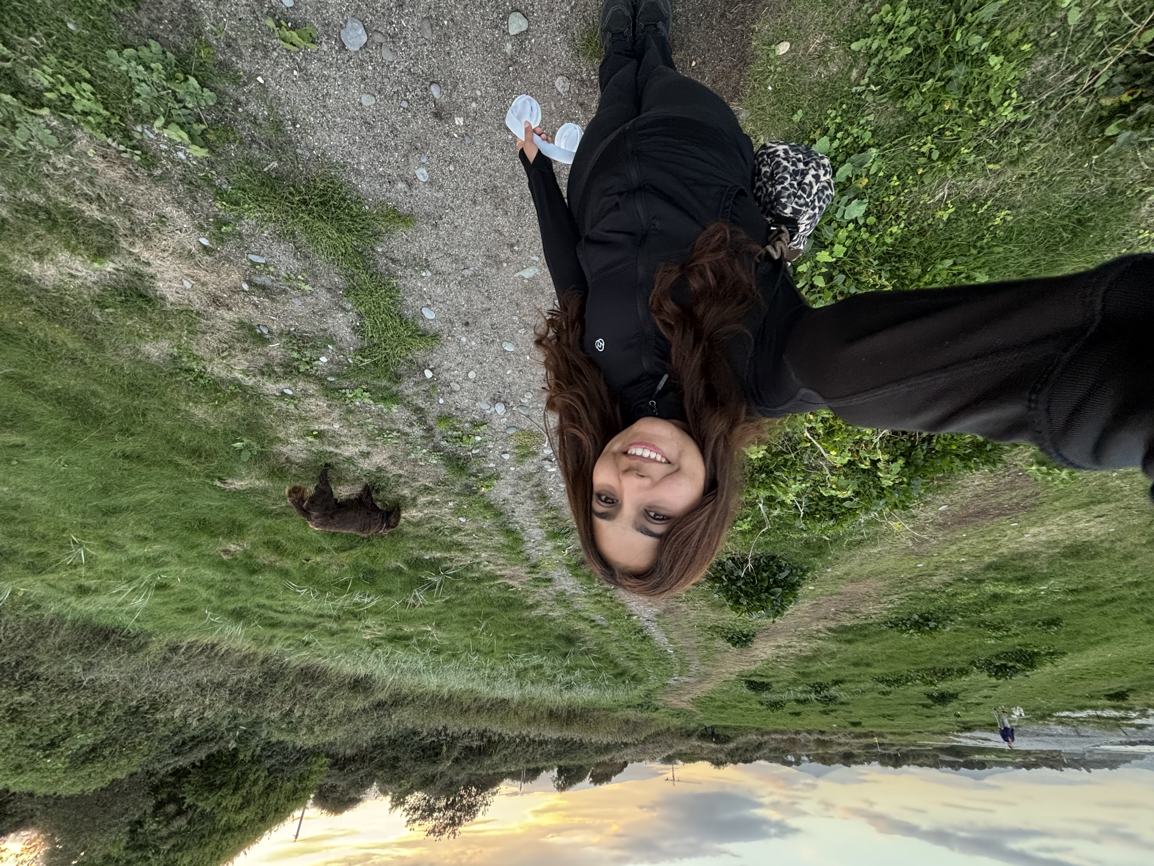 image-4