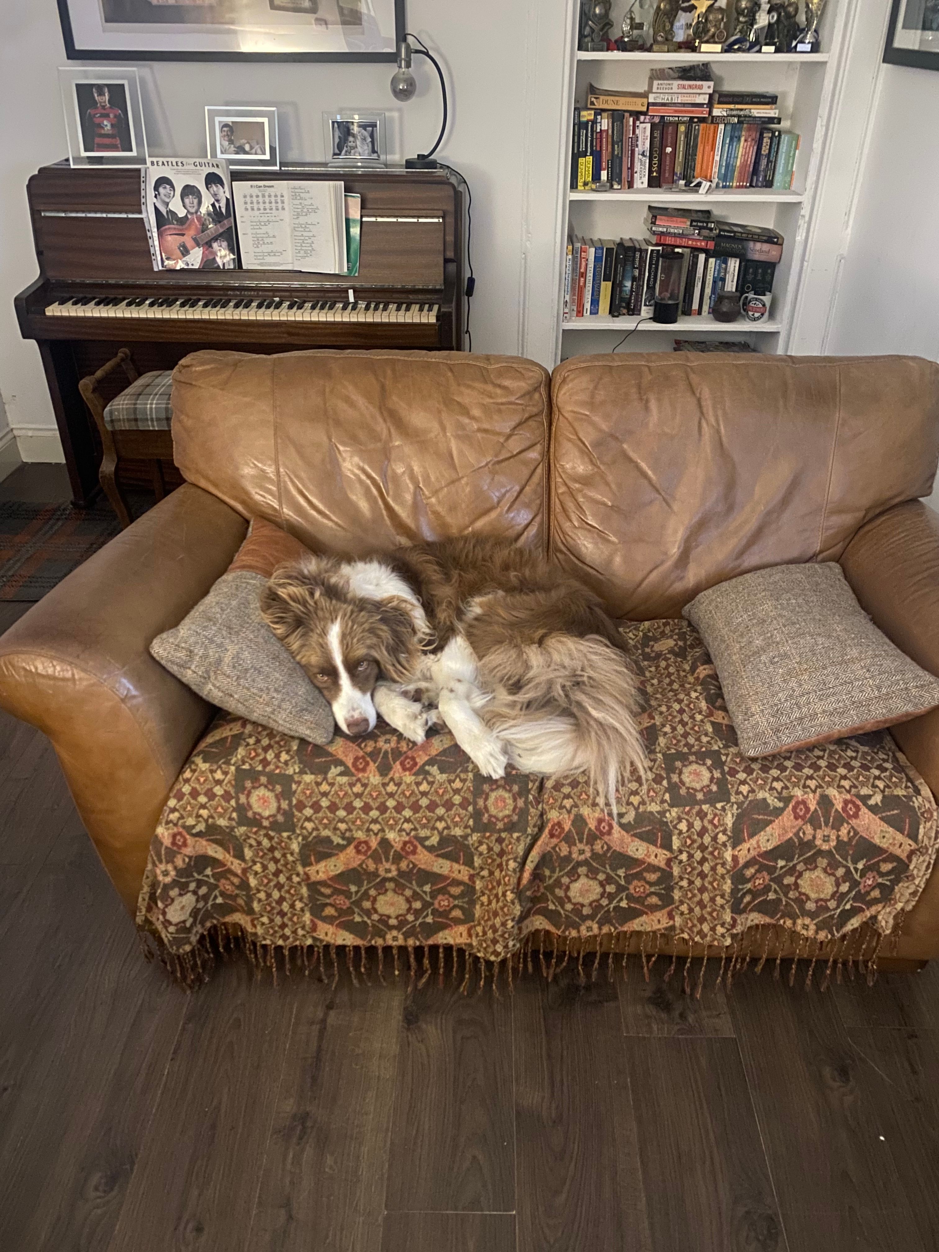 image-16